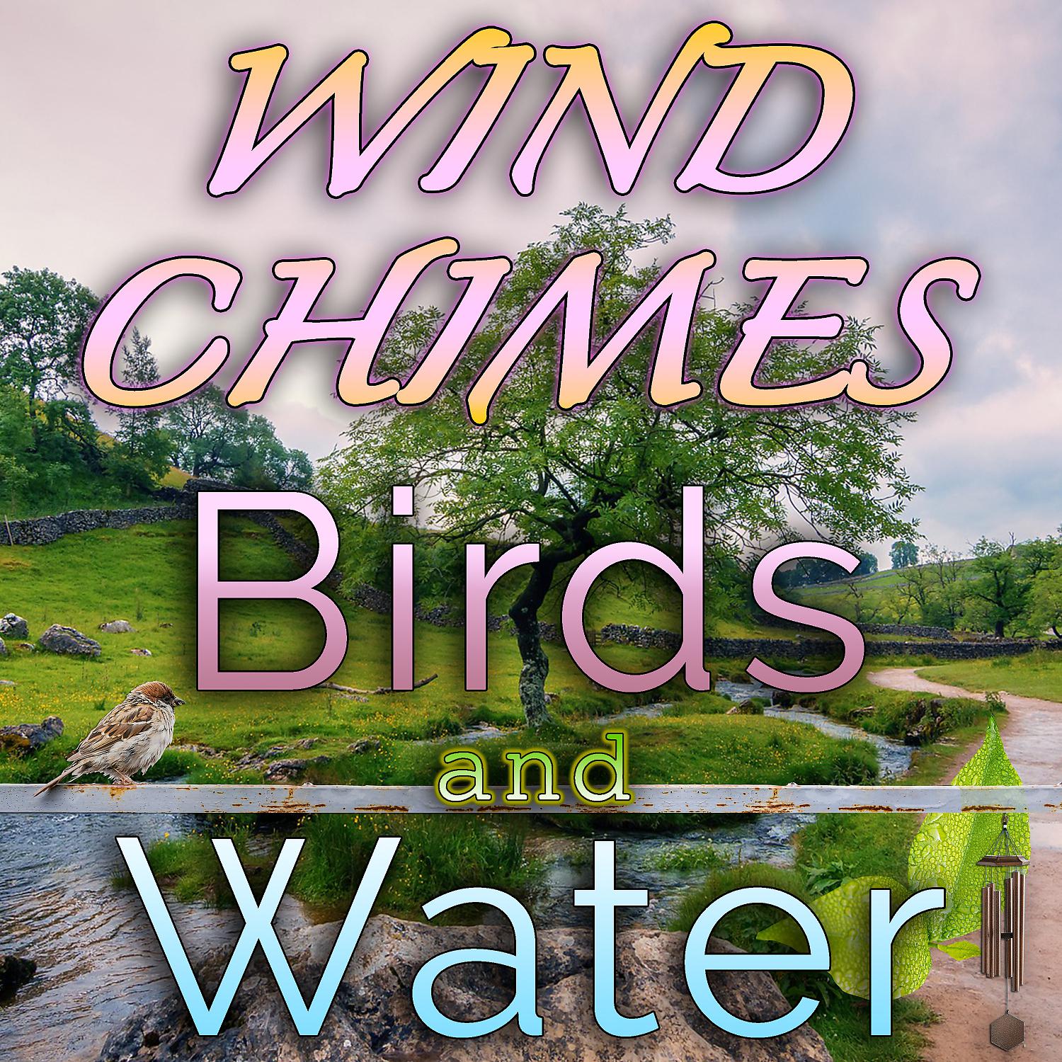 Zen Meditations From A Sleeping Buddha - Soft Wind Chimes, Birds and Water