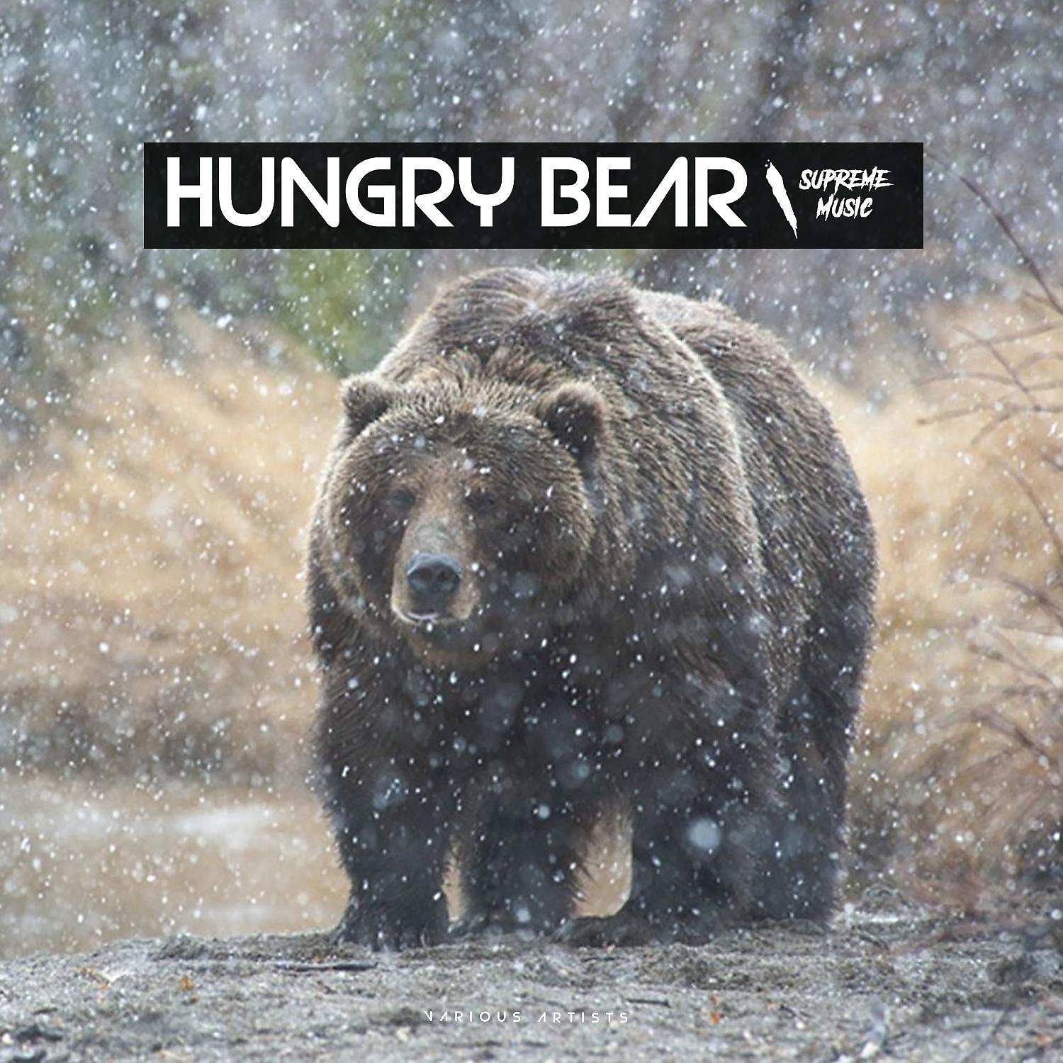 Постер альбома Hungry Bear