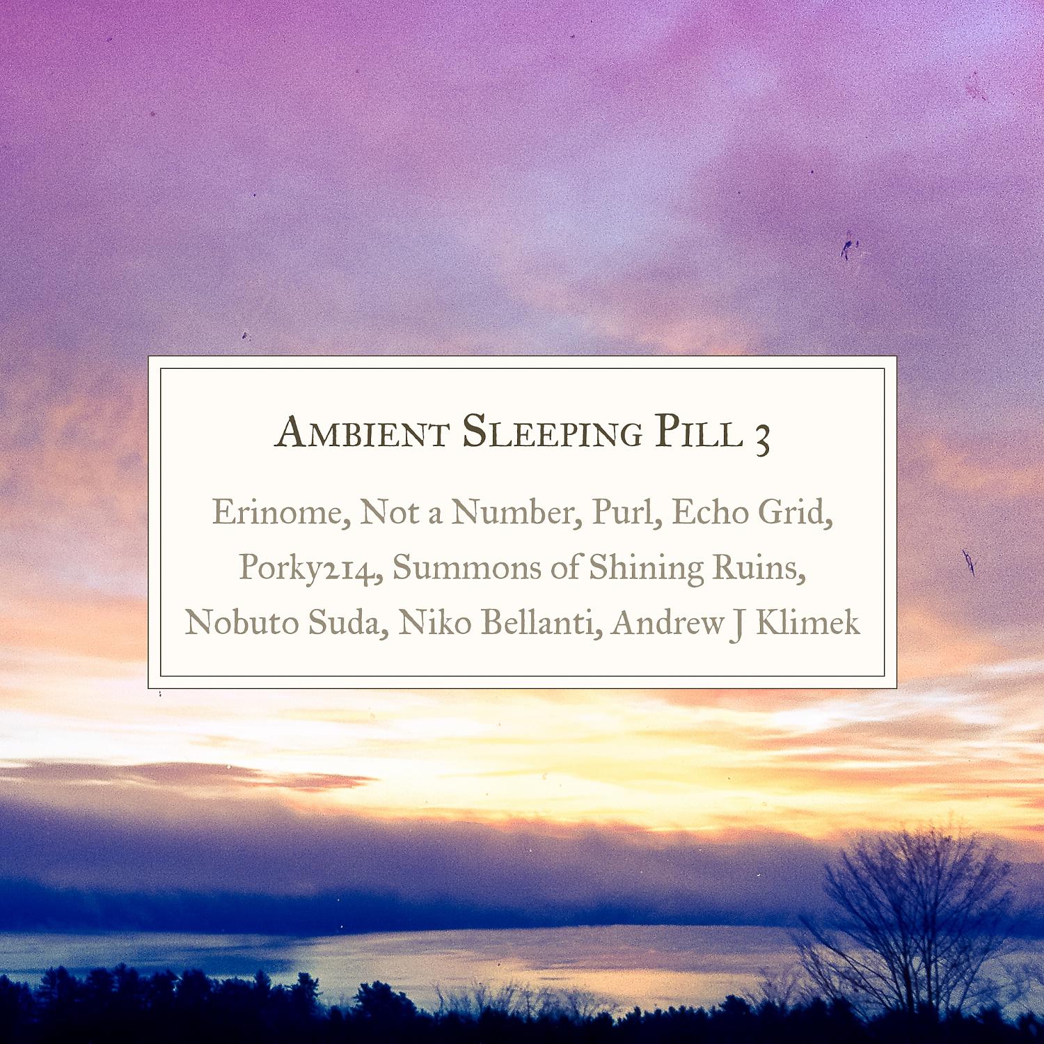 Постер альбома Ambient Sleeping Pill 3