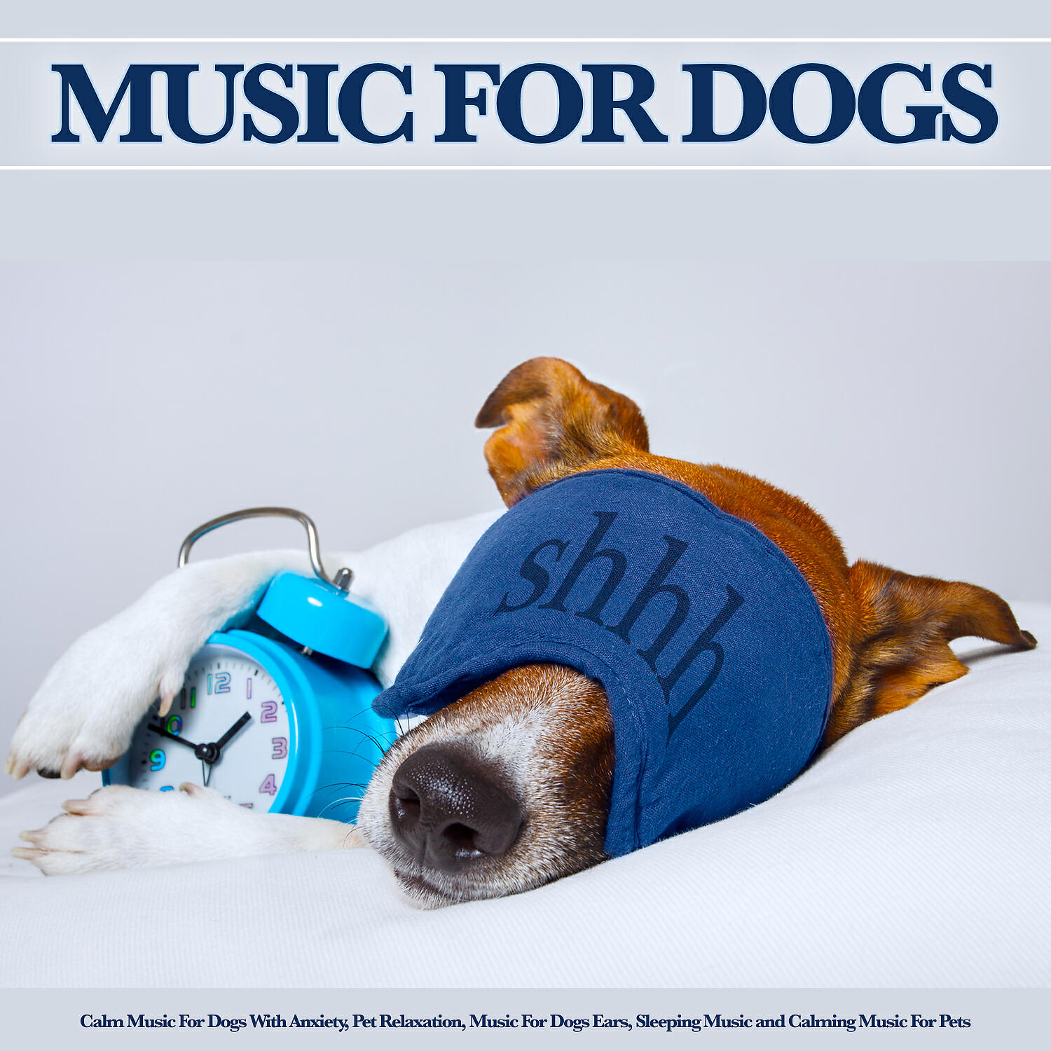 [Unknown] - Music for Dogs