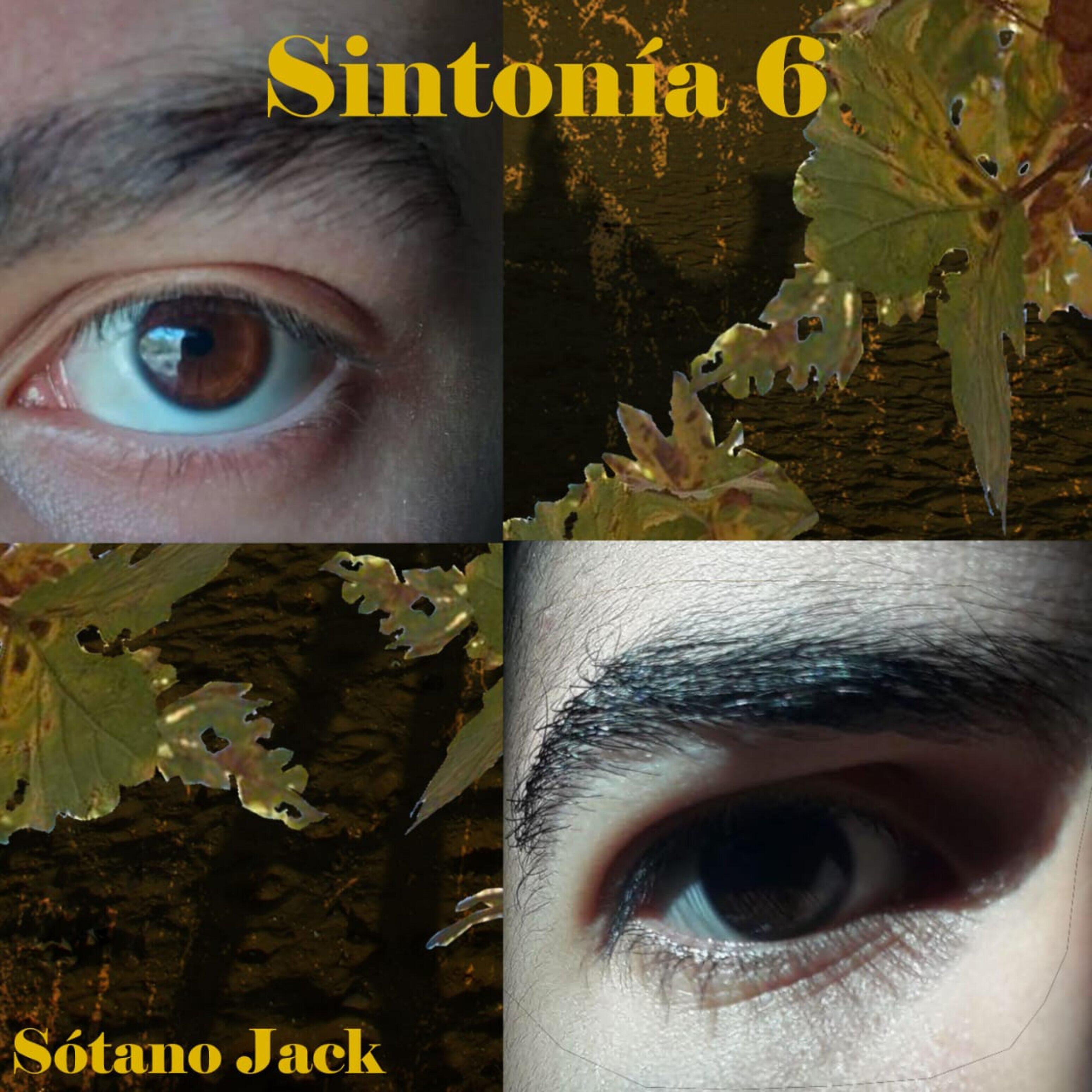 Sótano Jack - Perros Sin Bozal