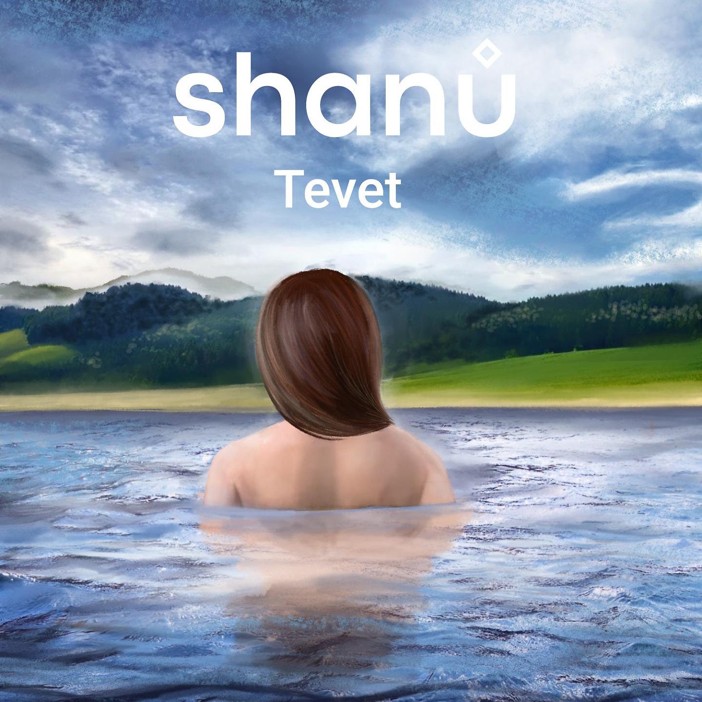Постер альбома Tevet