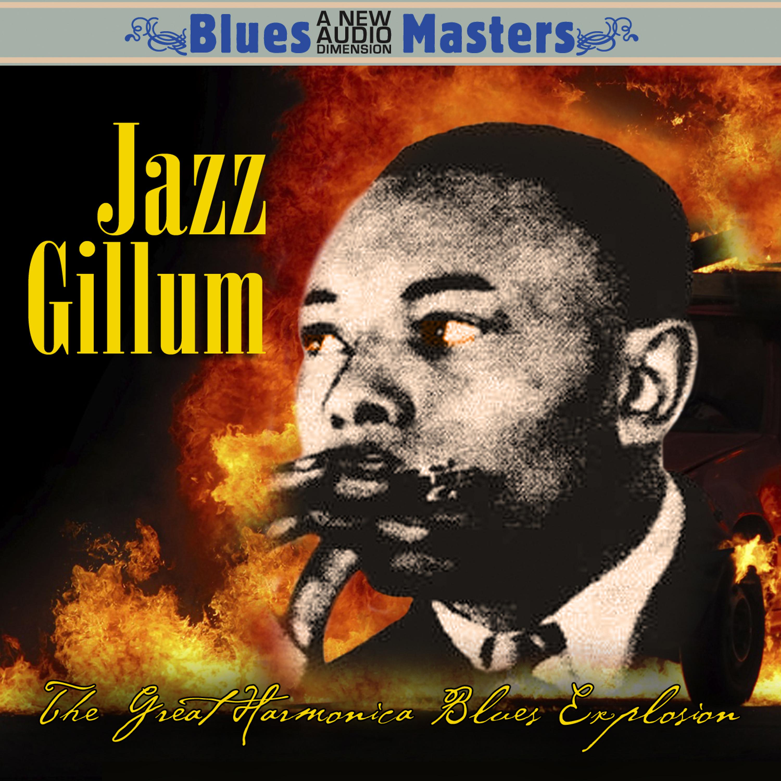 Постер альбома The Great Harmonica Blues Explosion