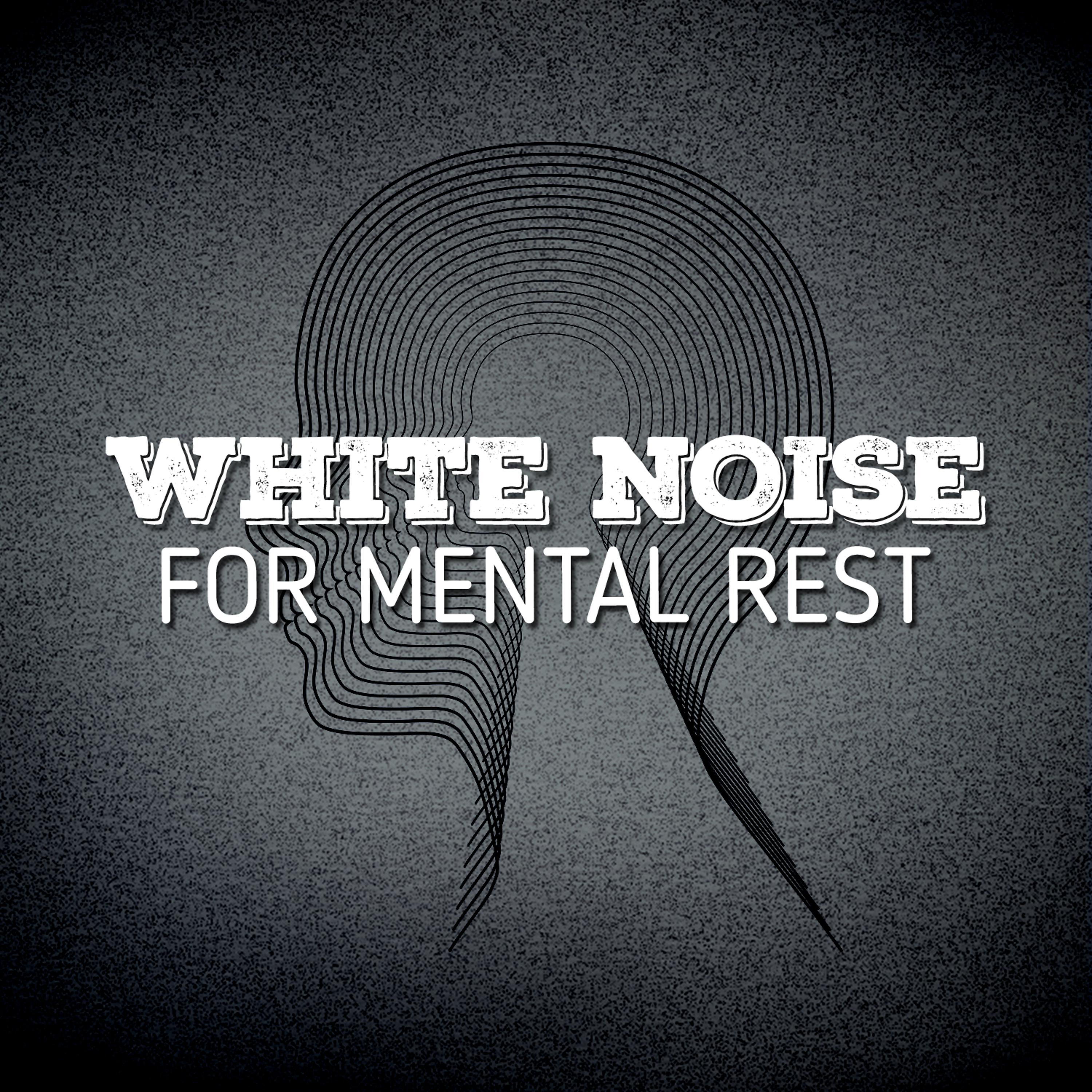 Постер альбома White Noise for Mental Rest