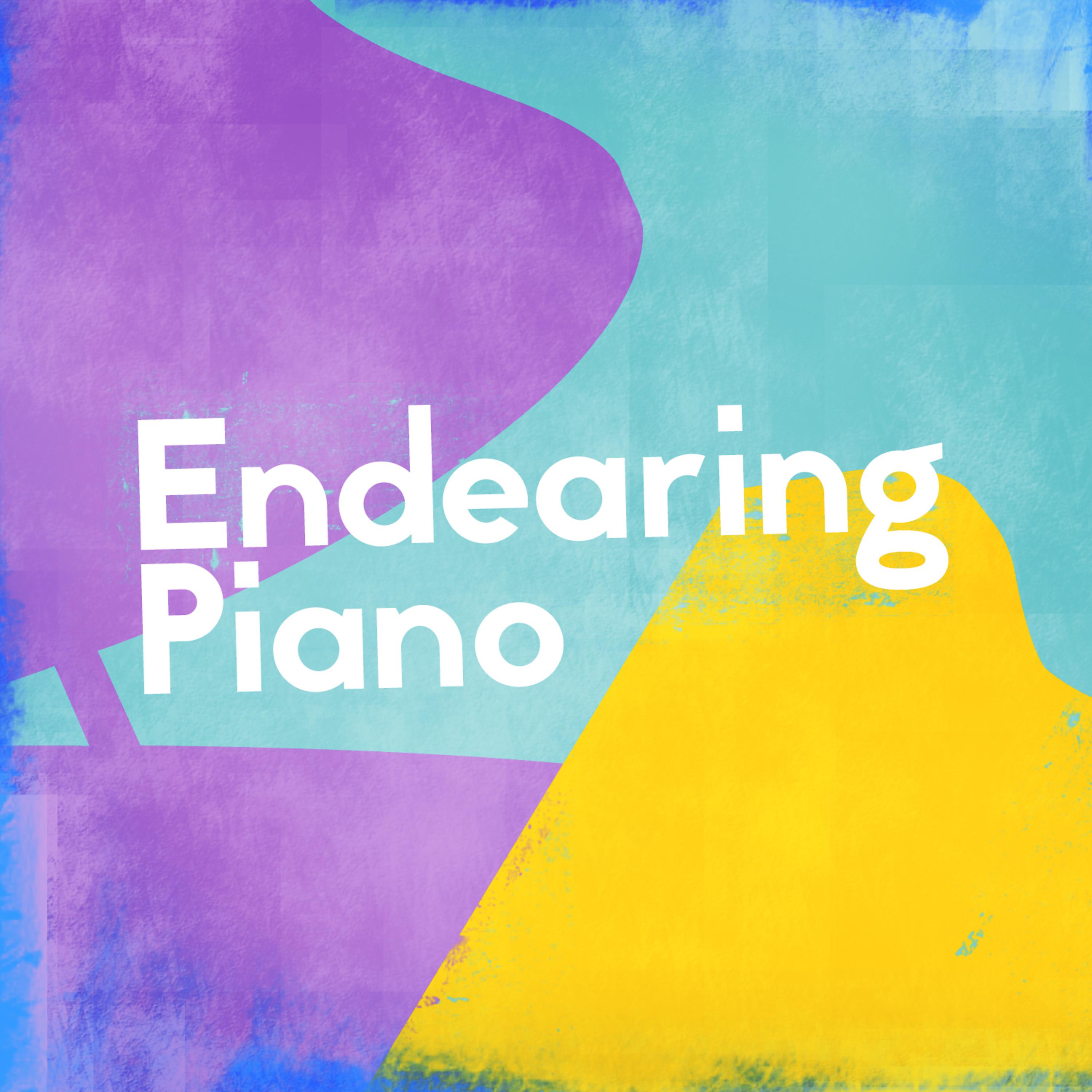 Постер альбома Endearing Piano