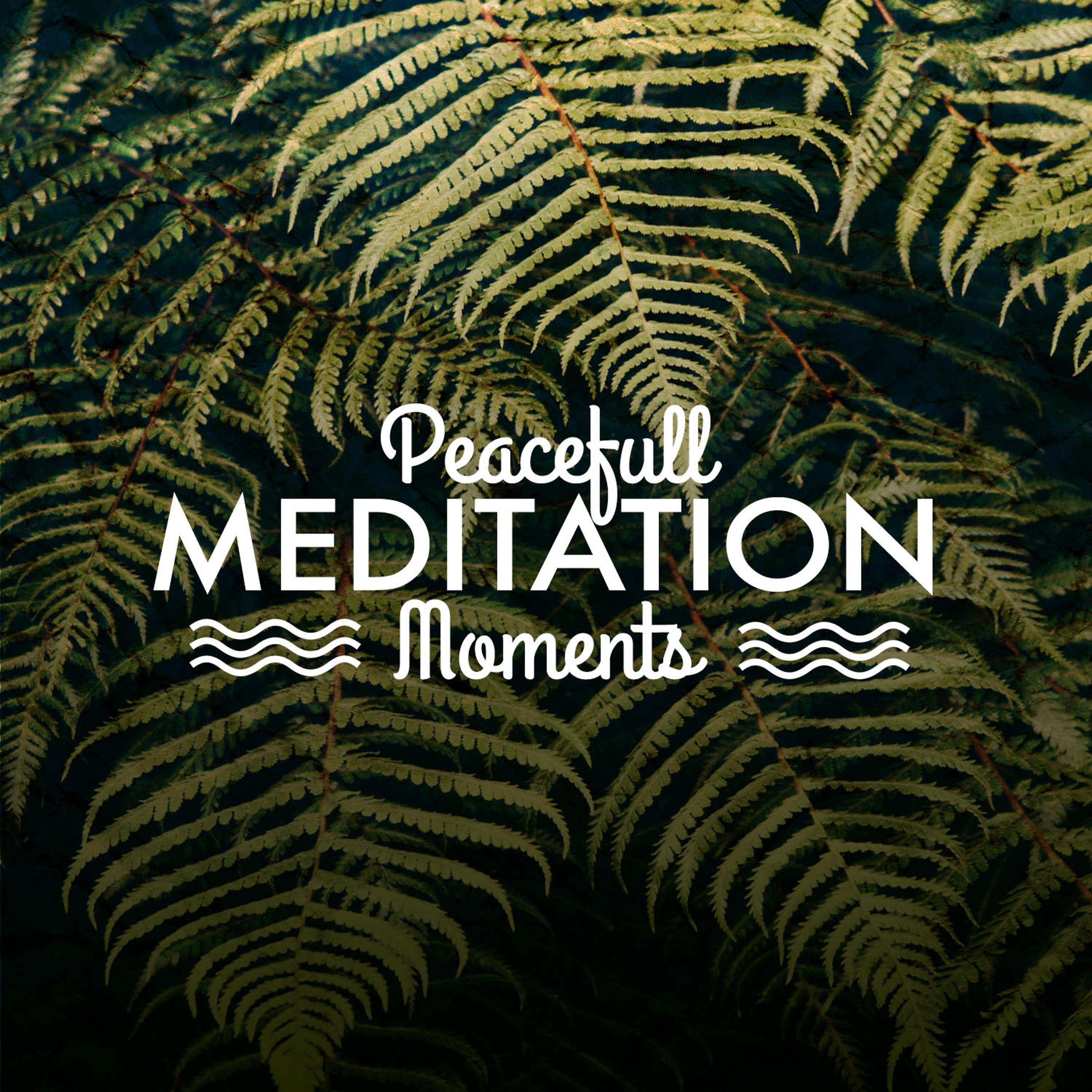 Постер альбома Peaceful Meditation Moments