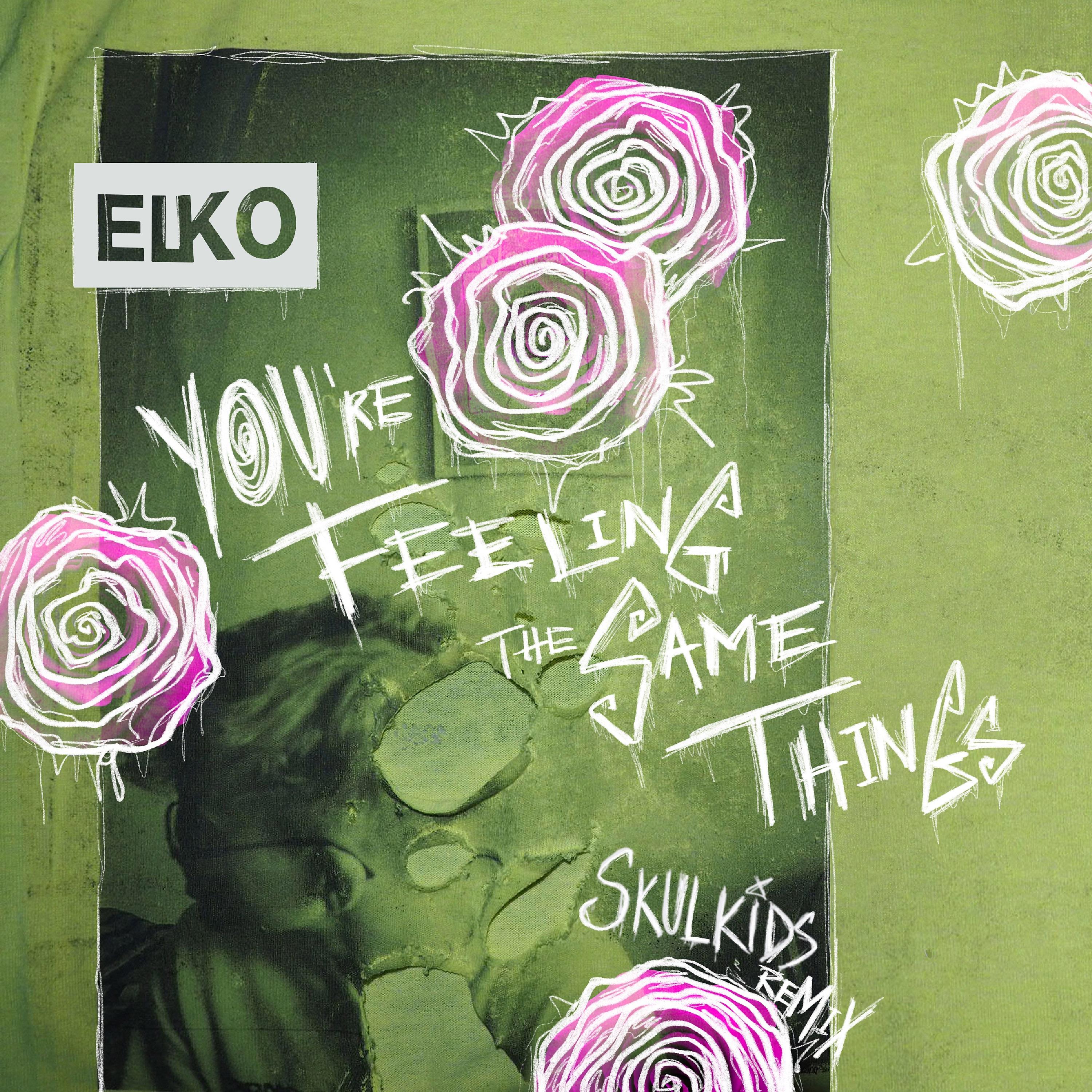 Постер альбома You're Feeling the Same Things (Skulkids Remix)
