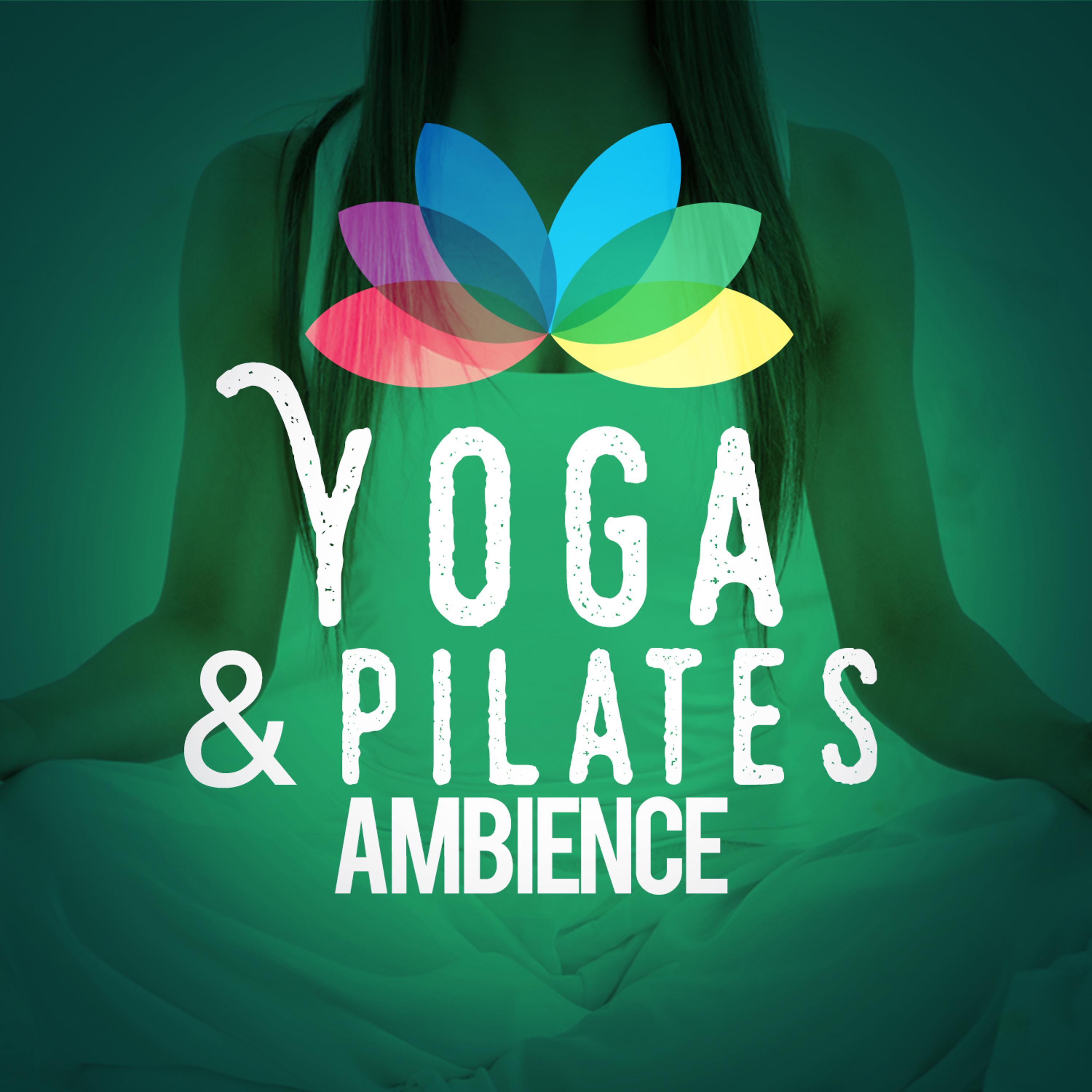 Постер альбома Yoga & Pilates Ambience