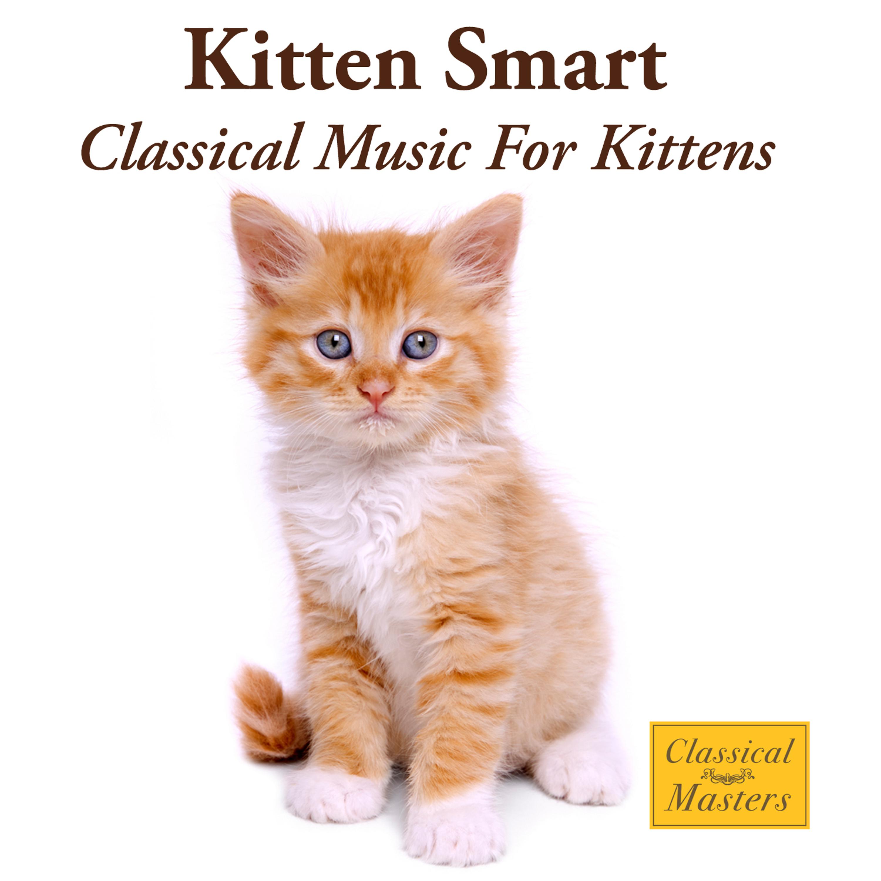 Постер альбома Kitten Smart - Classical Music For Kittens