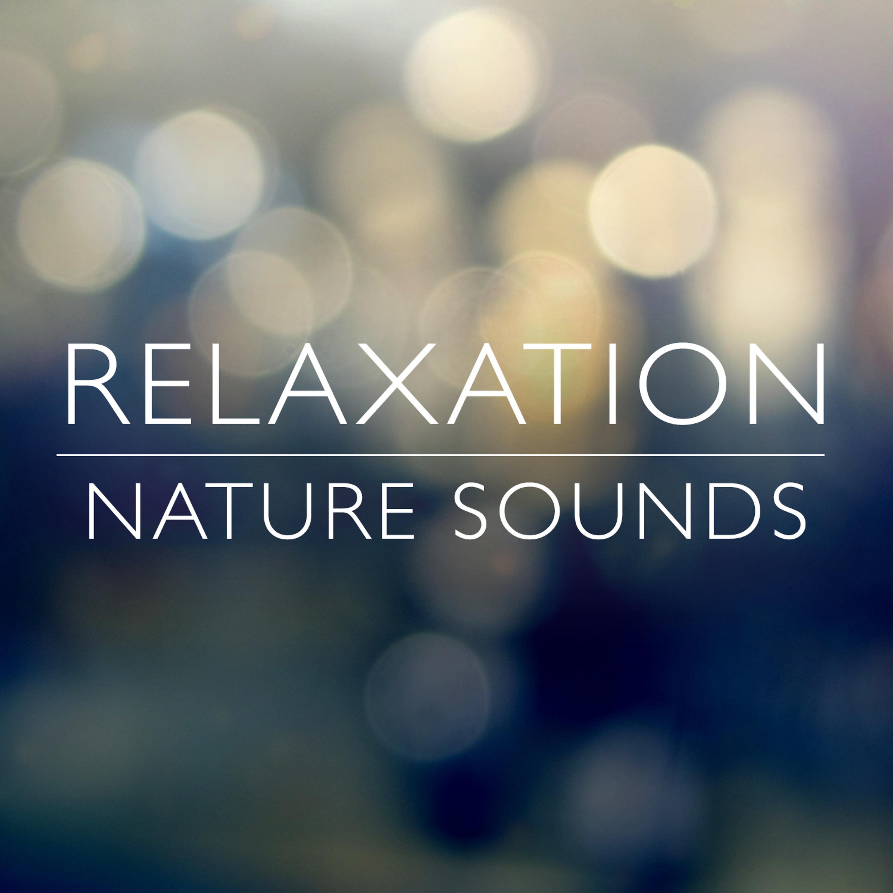 Постер альбома Relaxation Nature Sounds