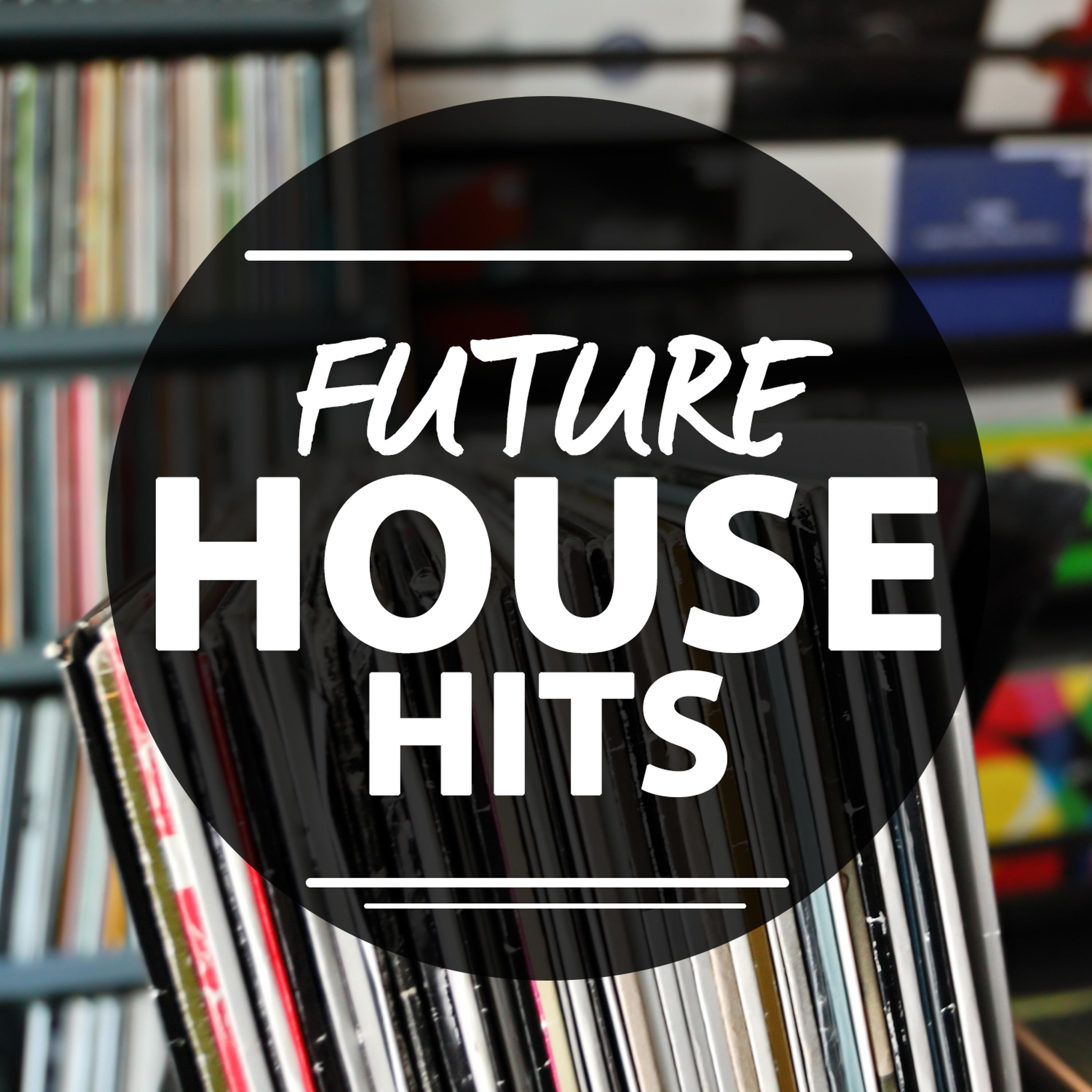 Постер альбома Future House Hits