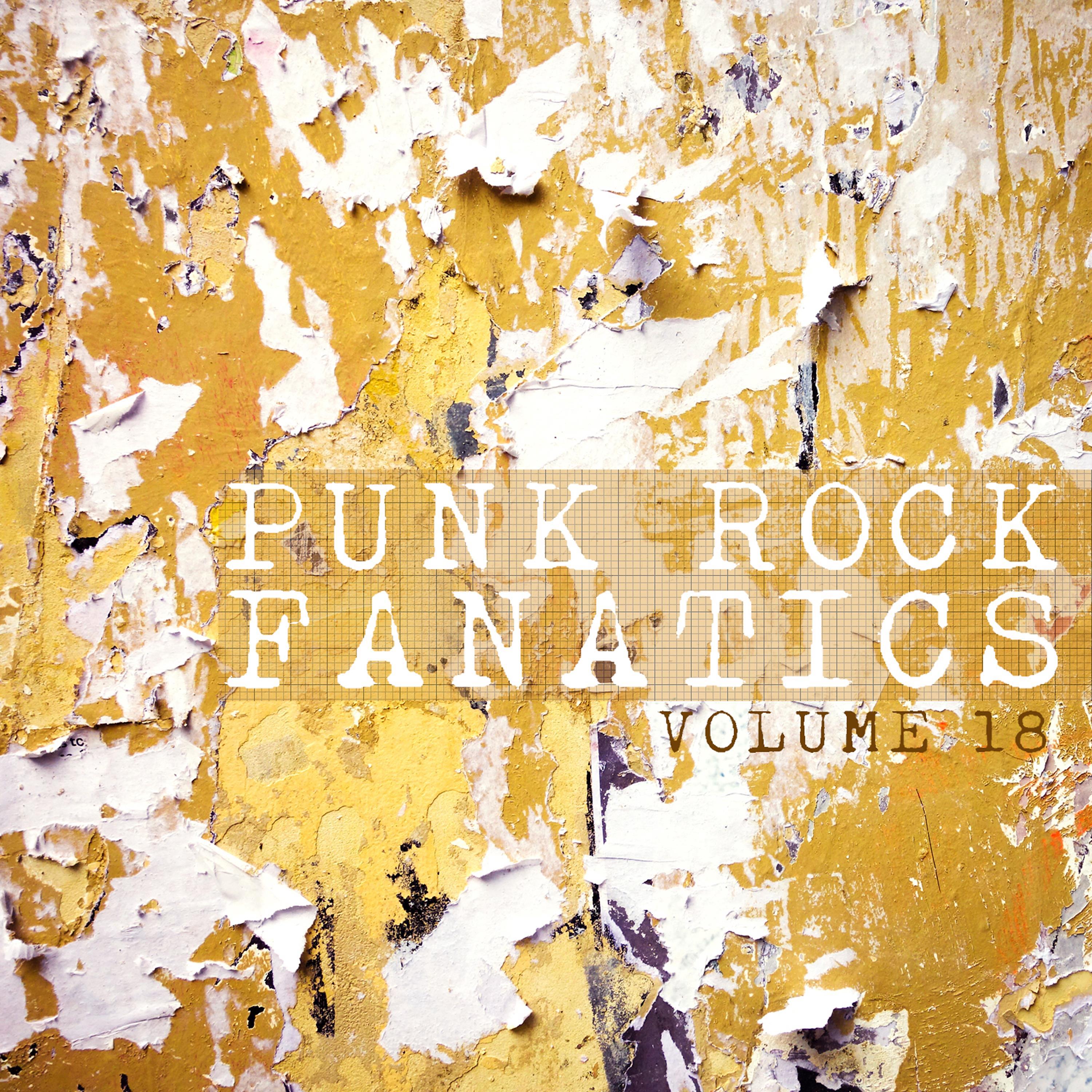 Постер альбома Punk Rock Fanatics, Vol. 18