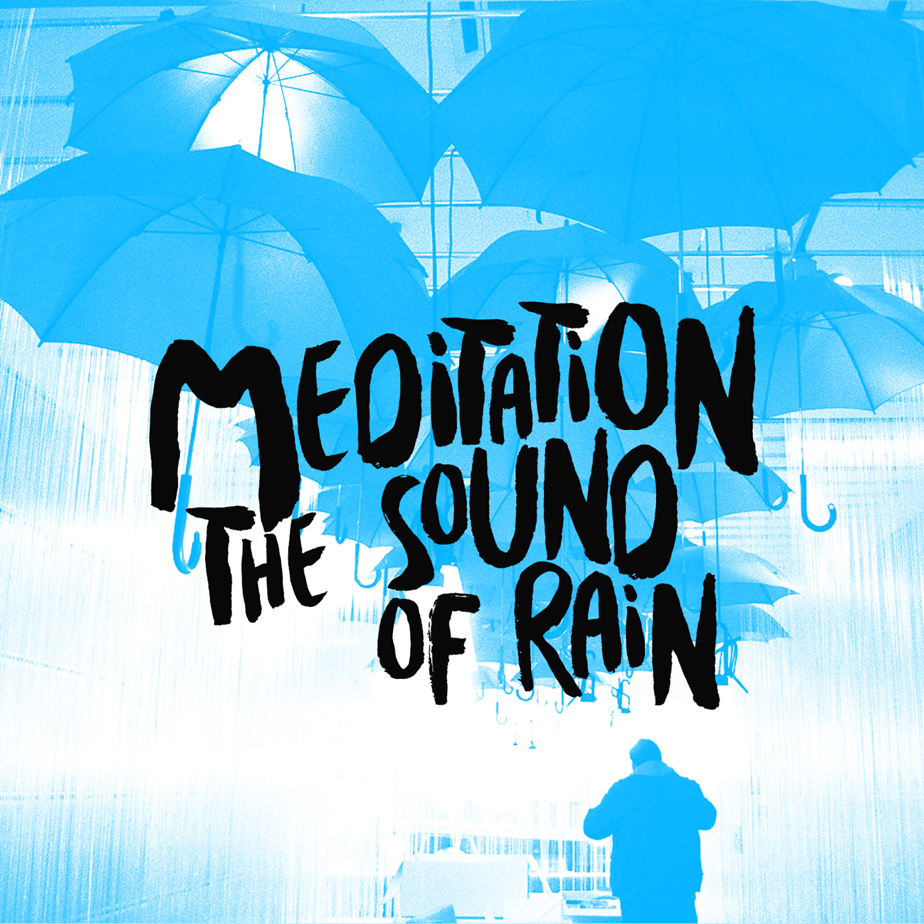Meditation Rain Sounds - Rain on the Canopy