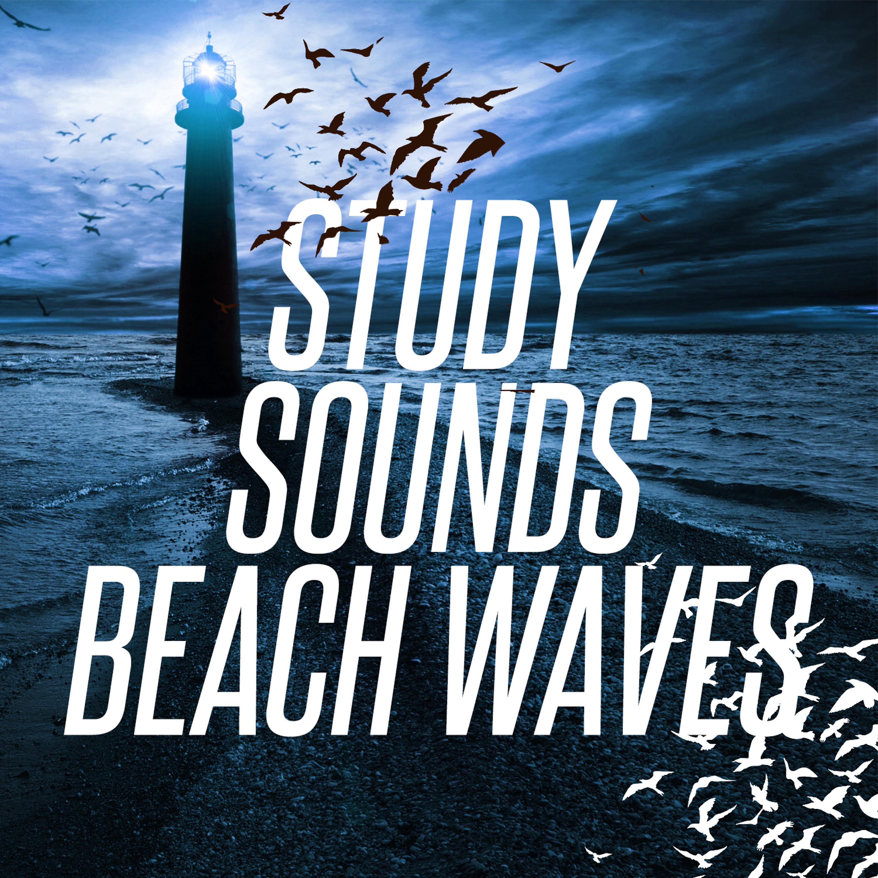 Beach Waves Specialists - Ocean Waves in Rock Pools