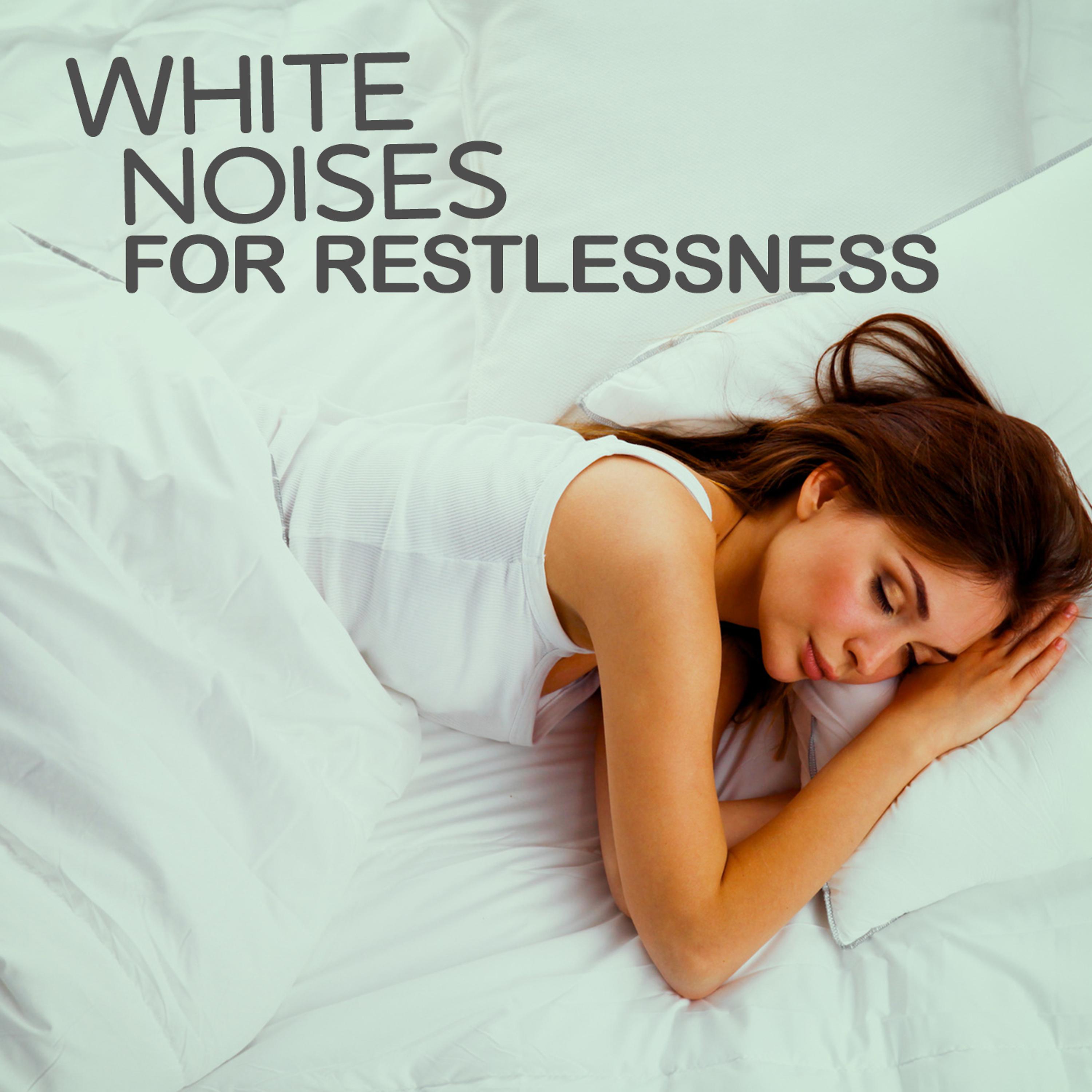 Постер альбома White Noises for Restlessness