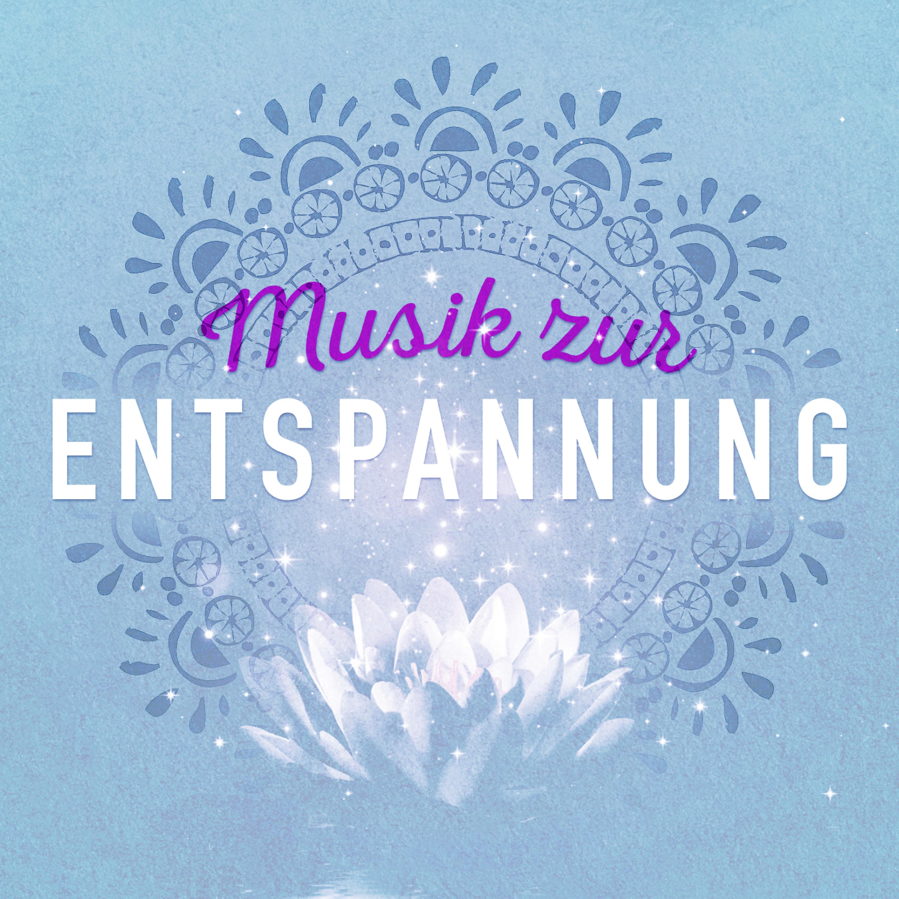 Постер альбома Musik Zur Entspannung