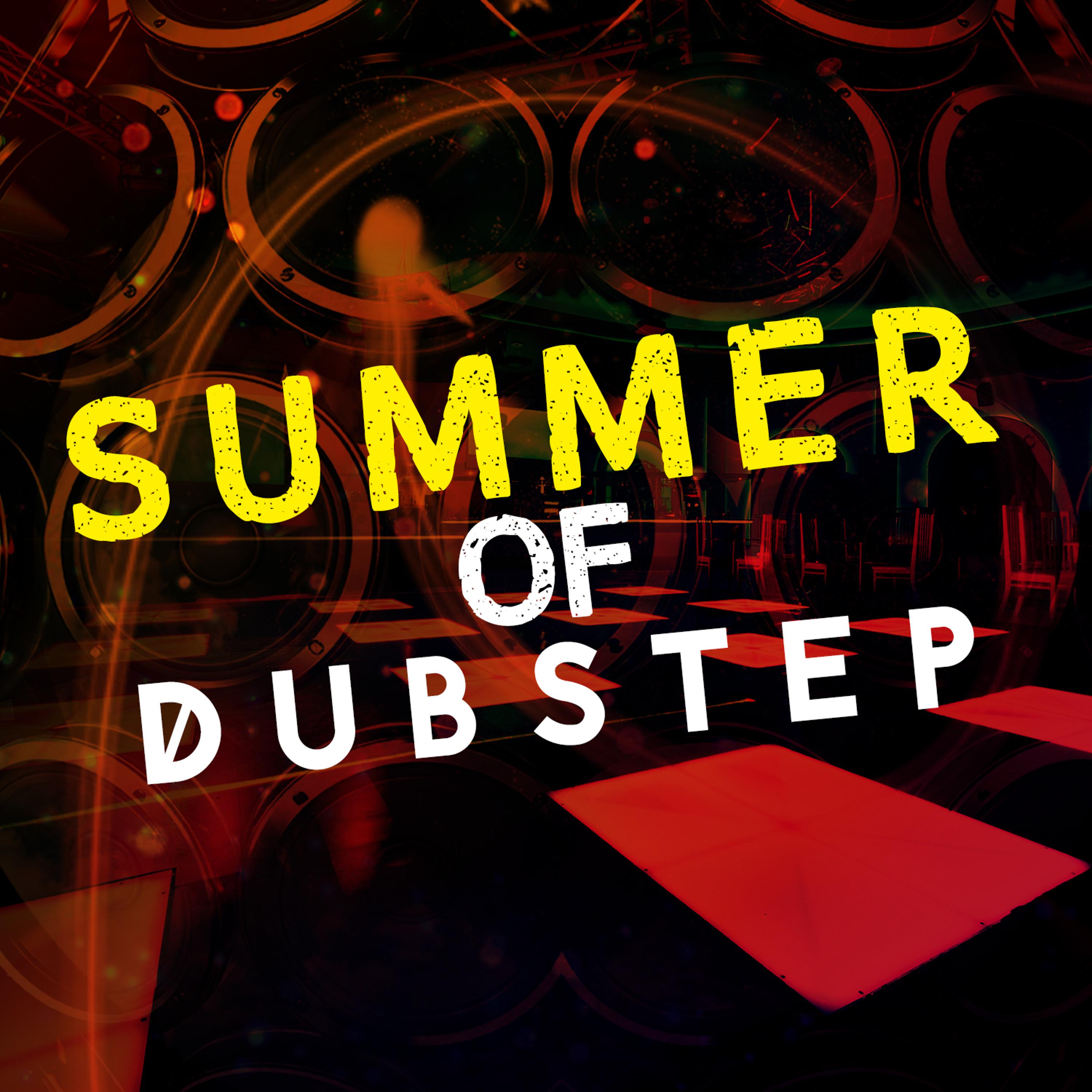 Постер альбома Summer of Dubstep