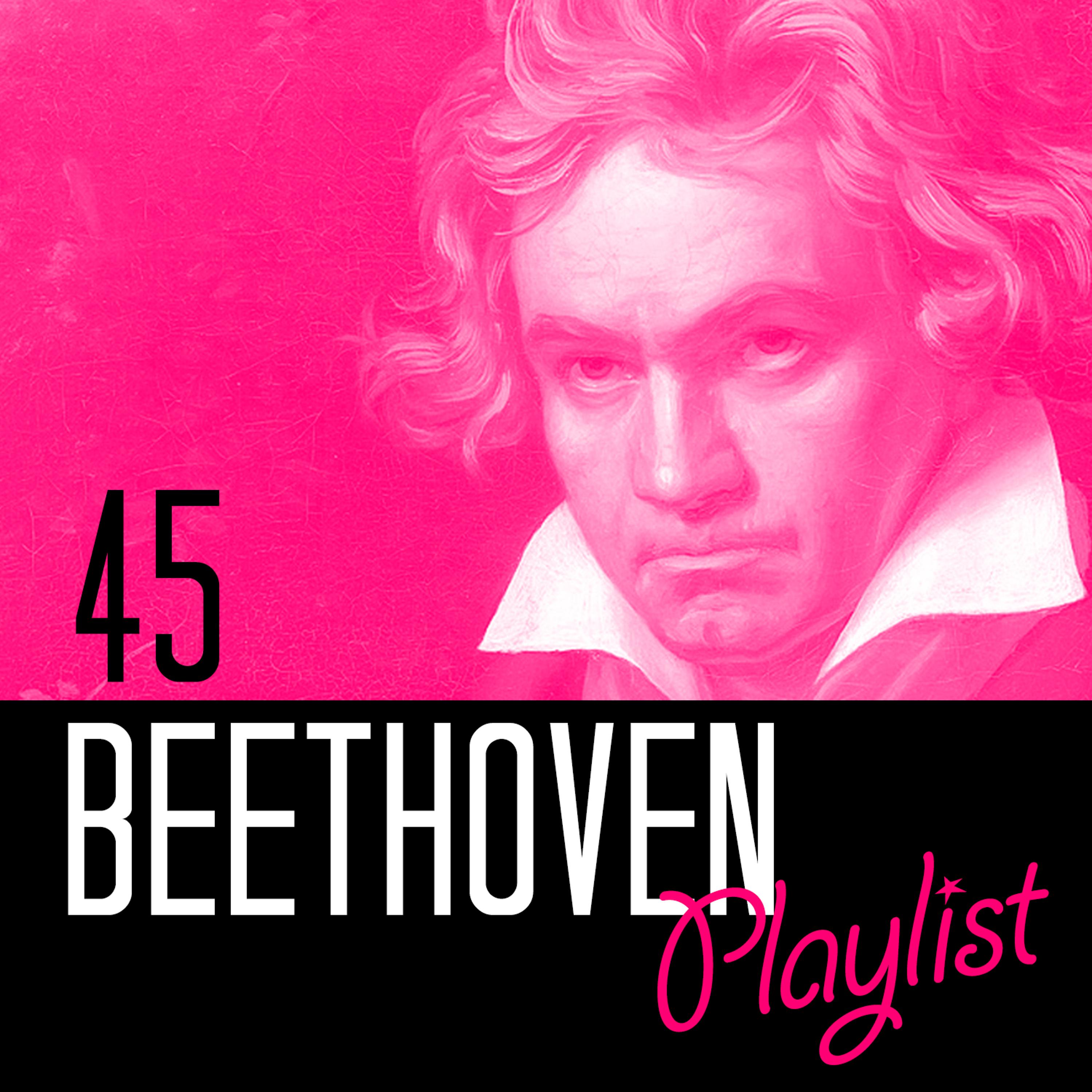 Постер альбома 45 Beethoven Playlist