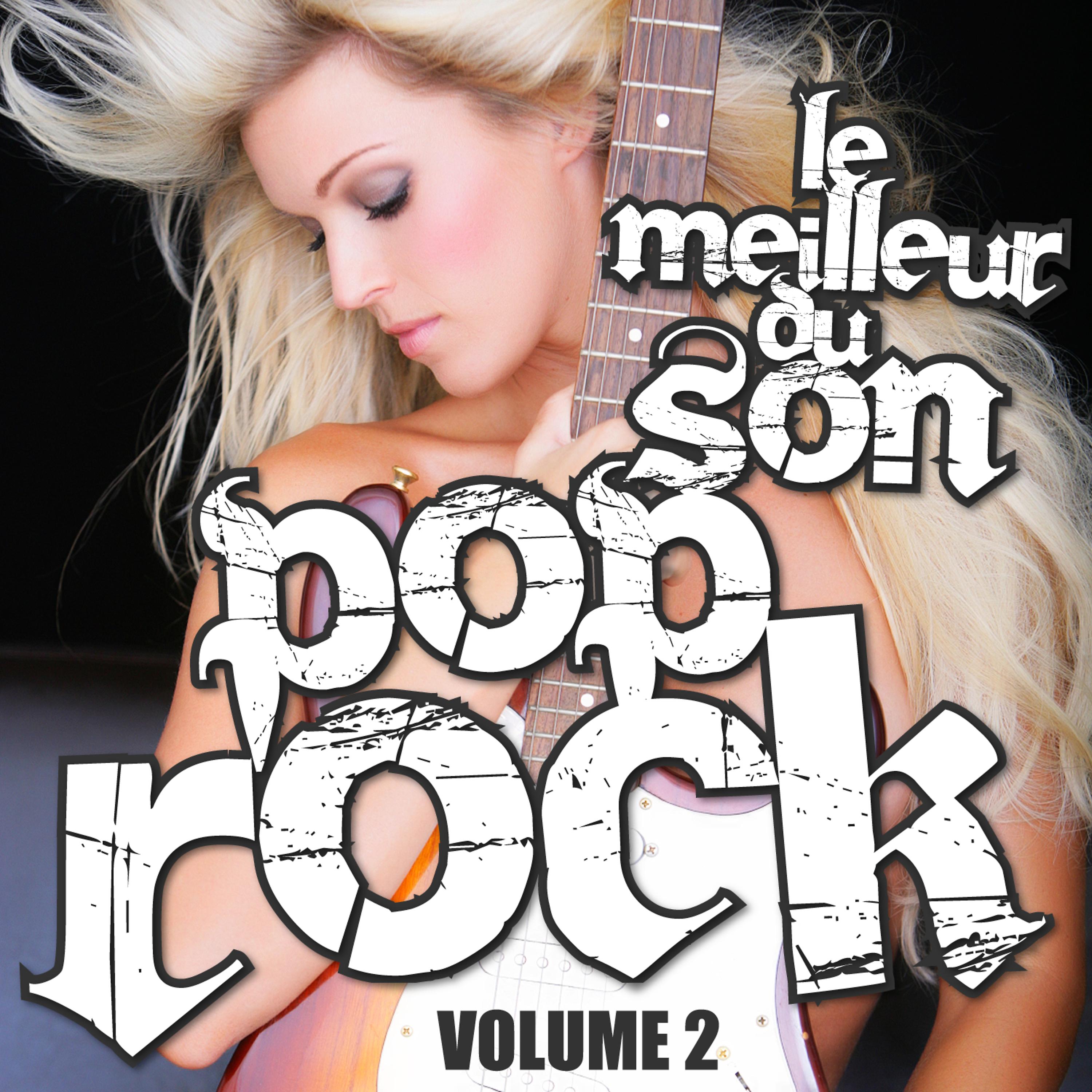 Постер альбома Le Meilleur Du Son Pop Rock Vol. 2