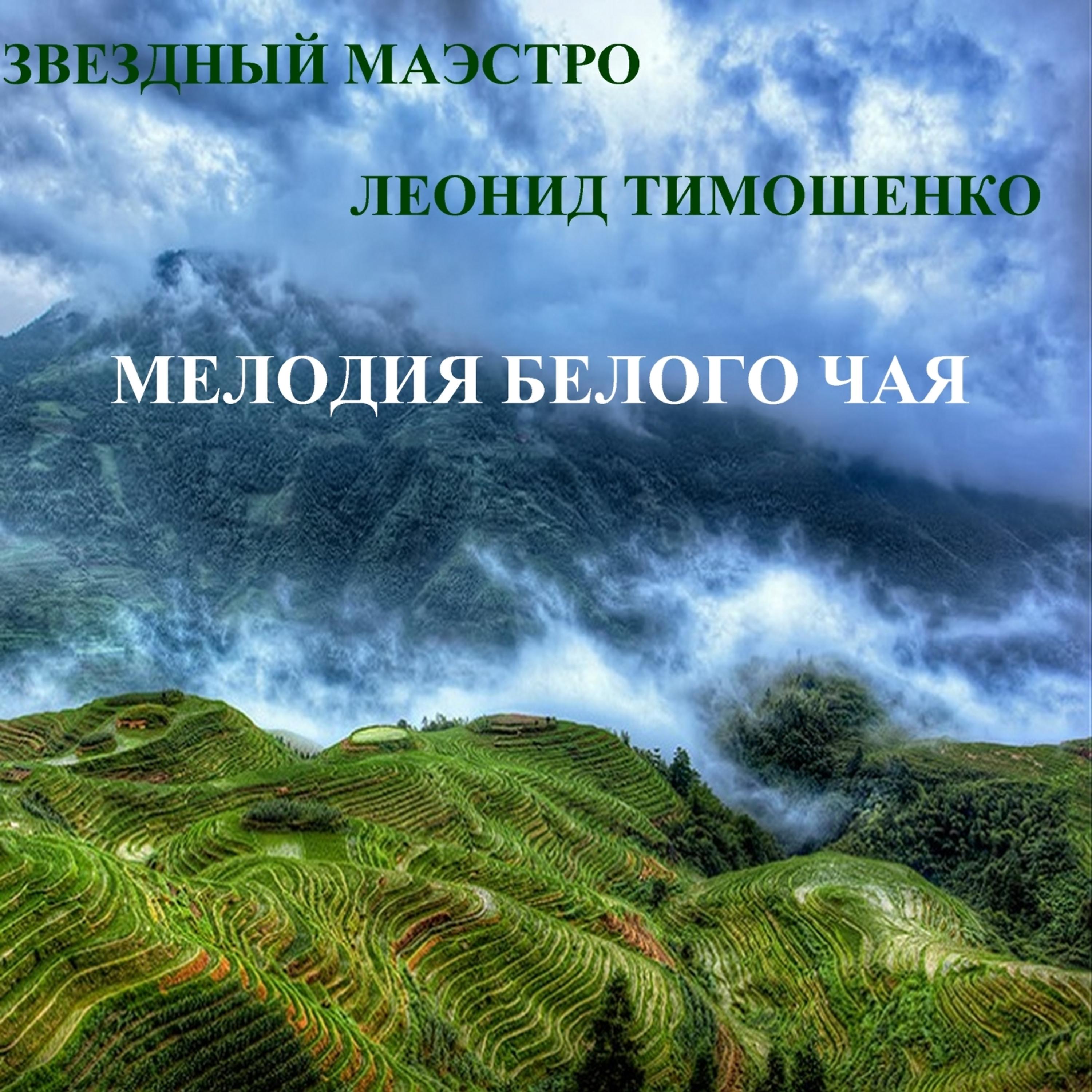Постер альбома Звездный маэстро Леонид Тимошенко. Мелодия белого чая