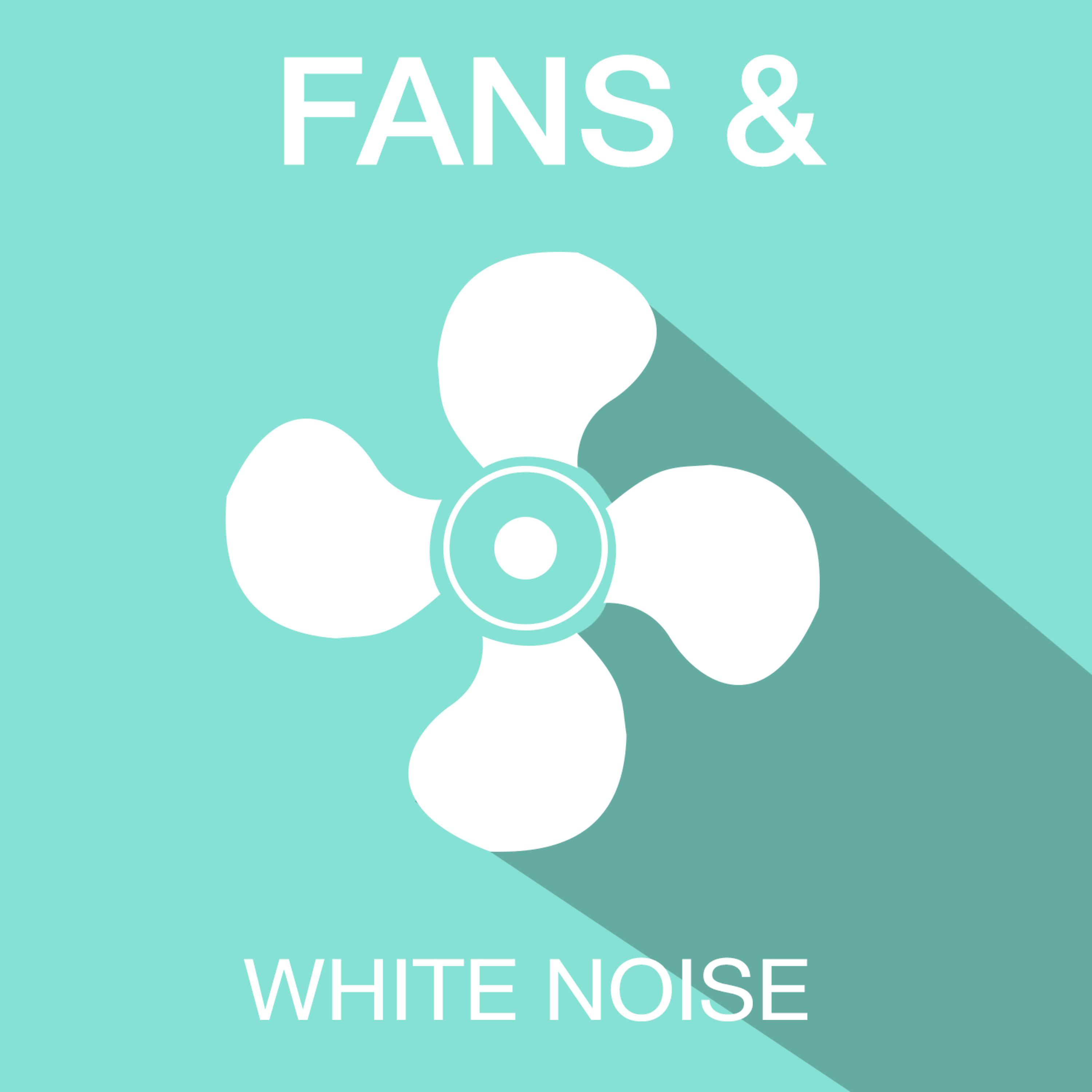 Постер альбома Fans & White Noise