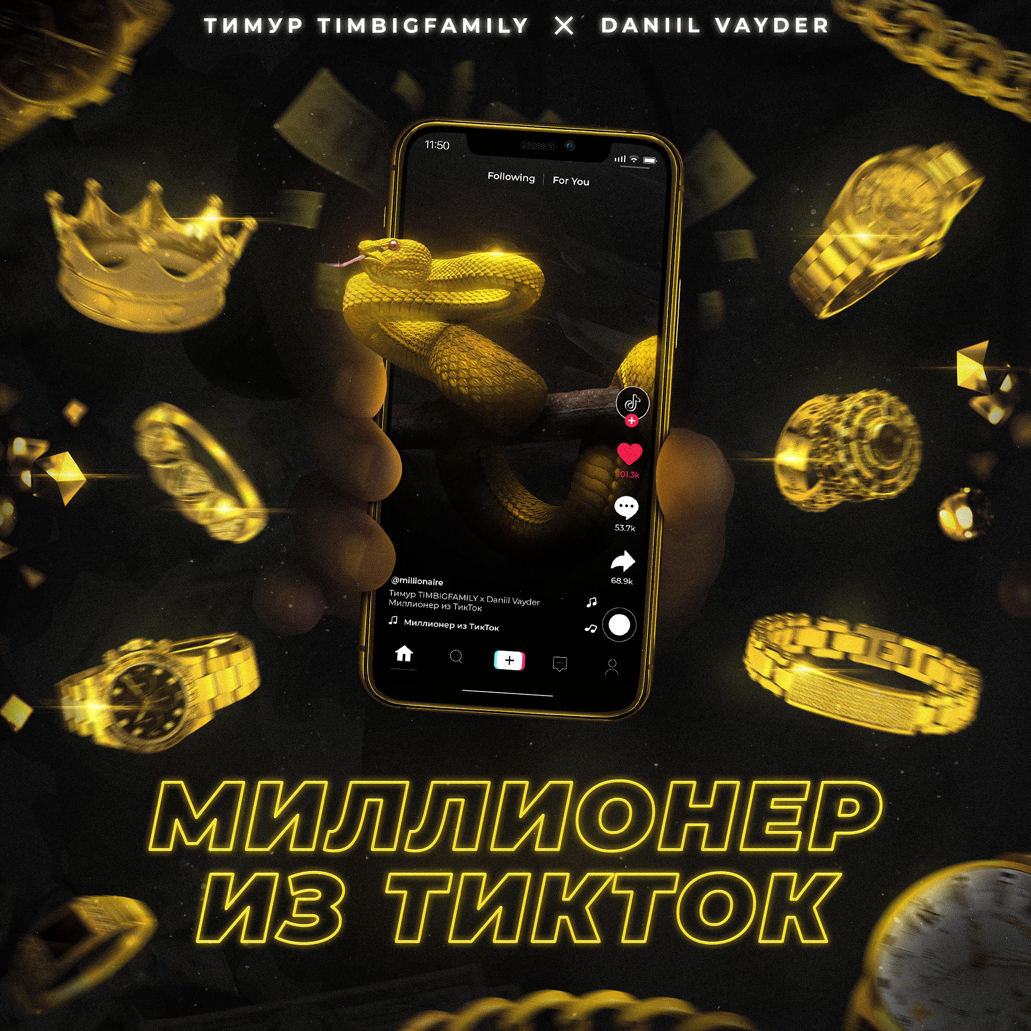 Постер альбома Миллионер из TikTok