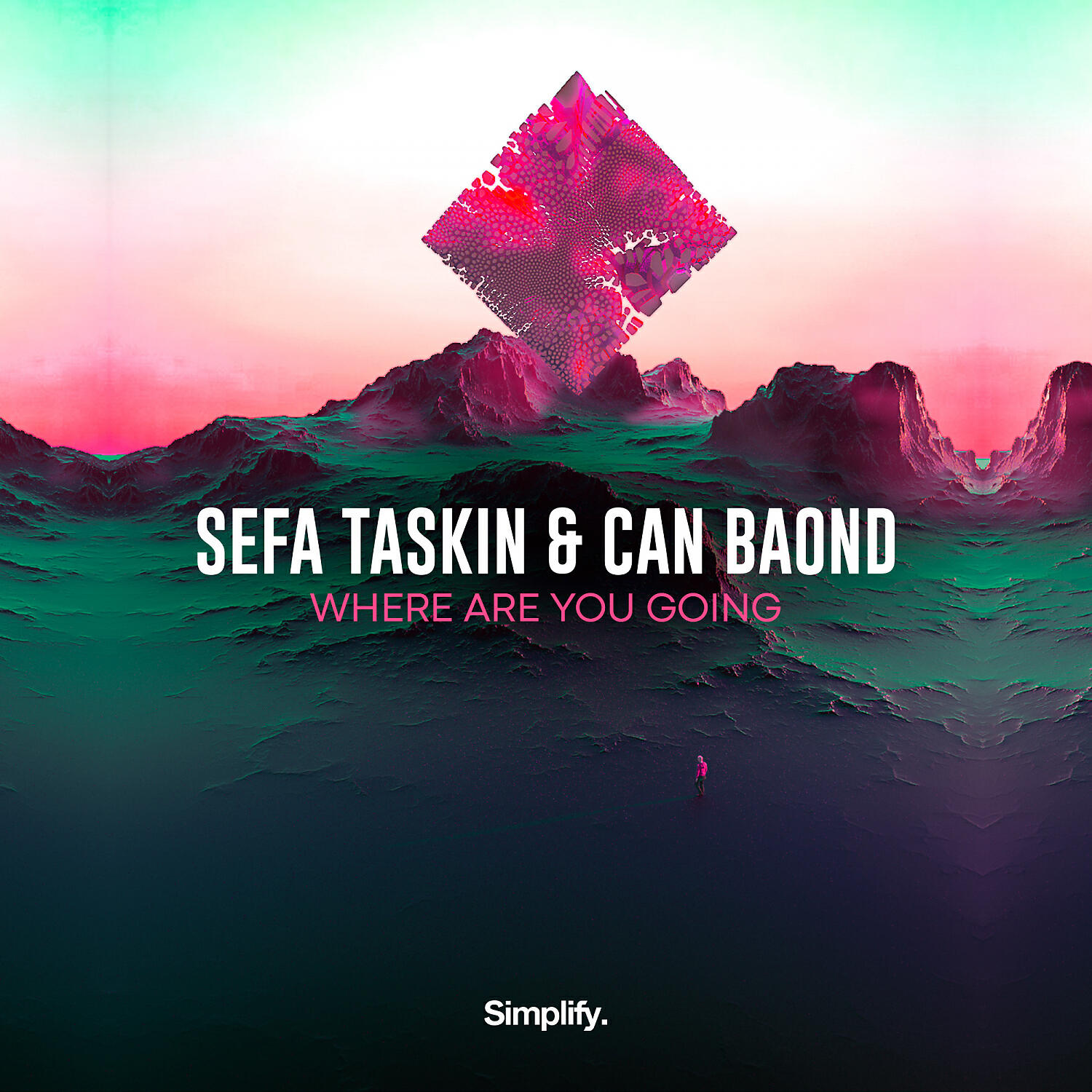 Sefa Taskin - Where Are You Going