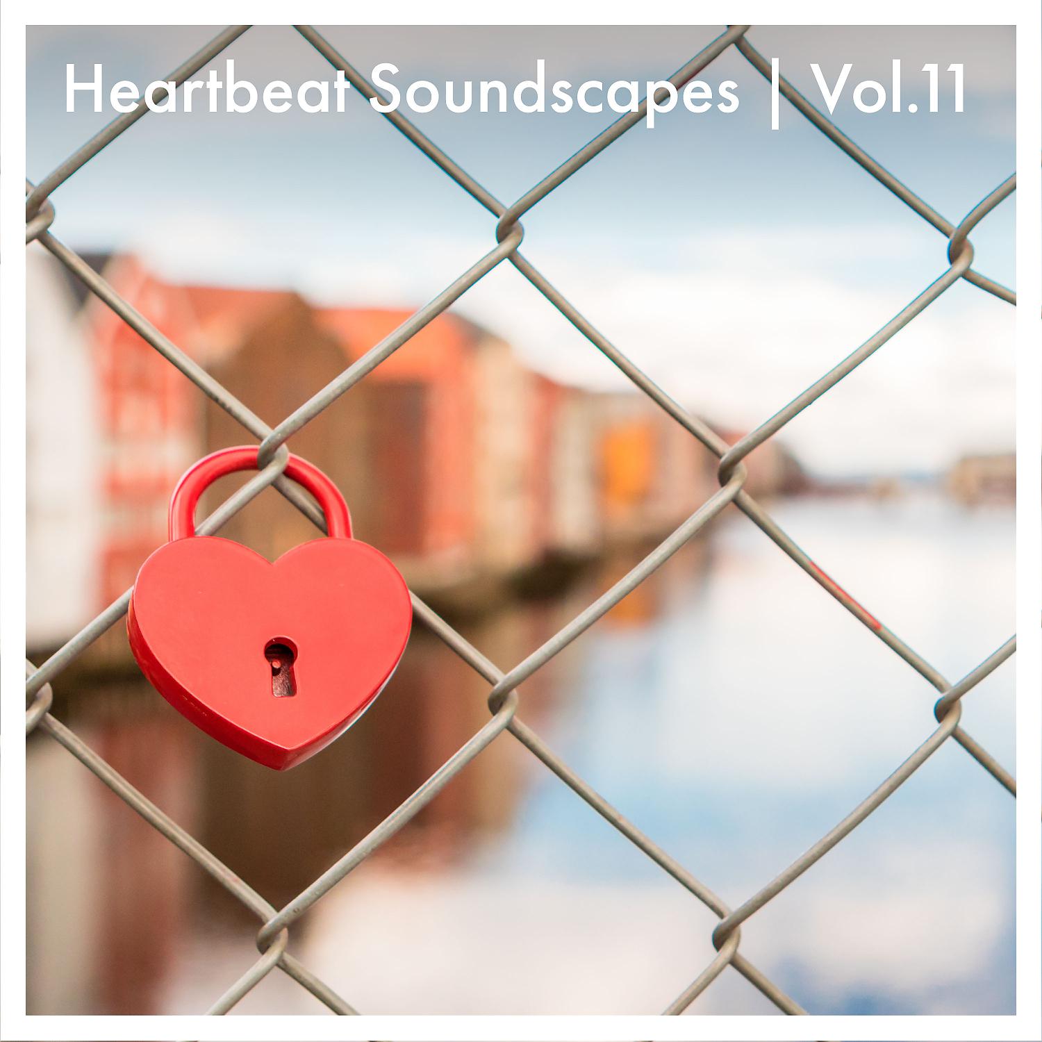 Постер альбома Heartbeat Soundscapes, Vol. 11