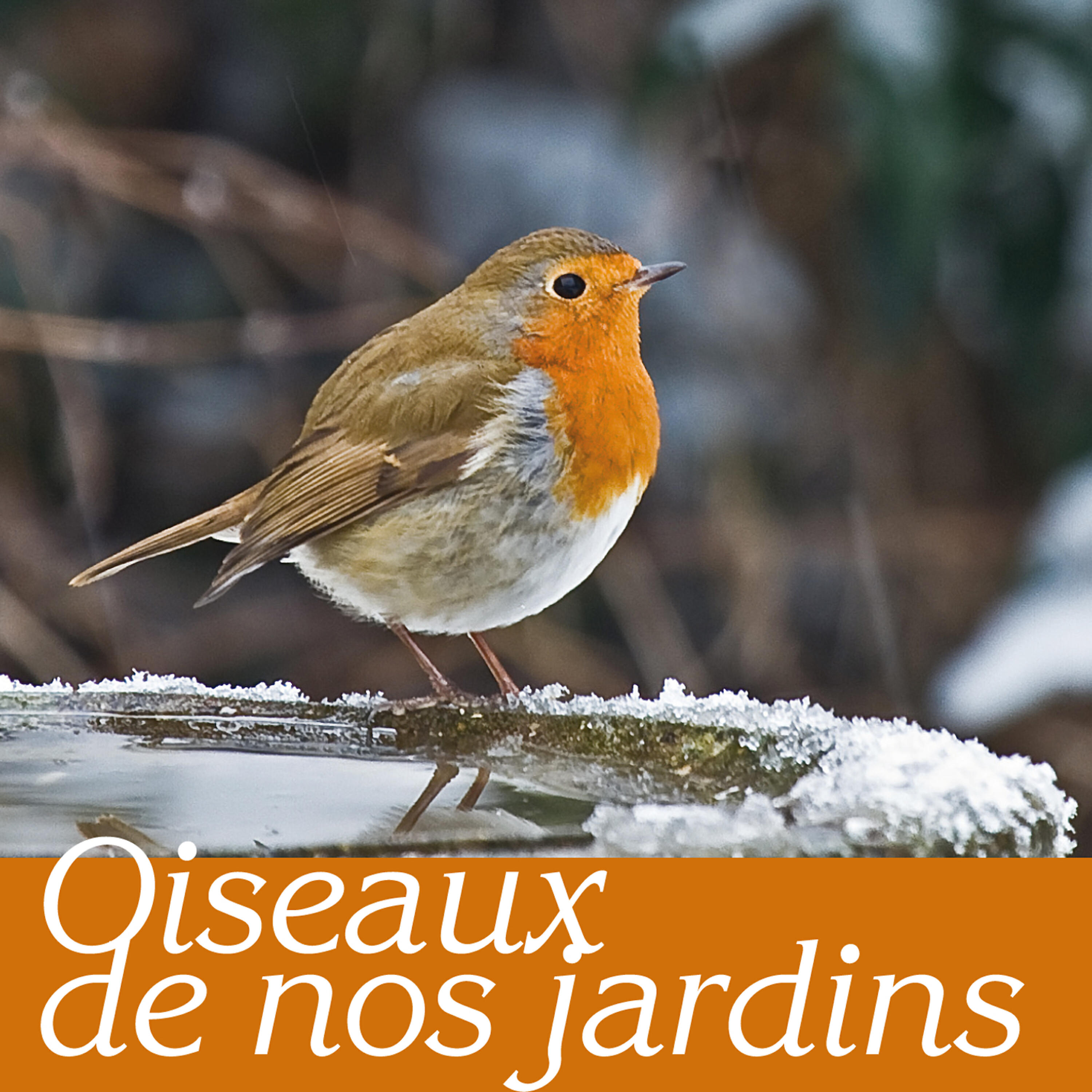 Biosphere Nature Sounds - Pinson, chardonneret, geai, rossignol, tourterelle