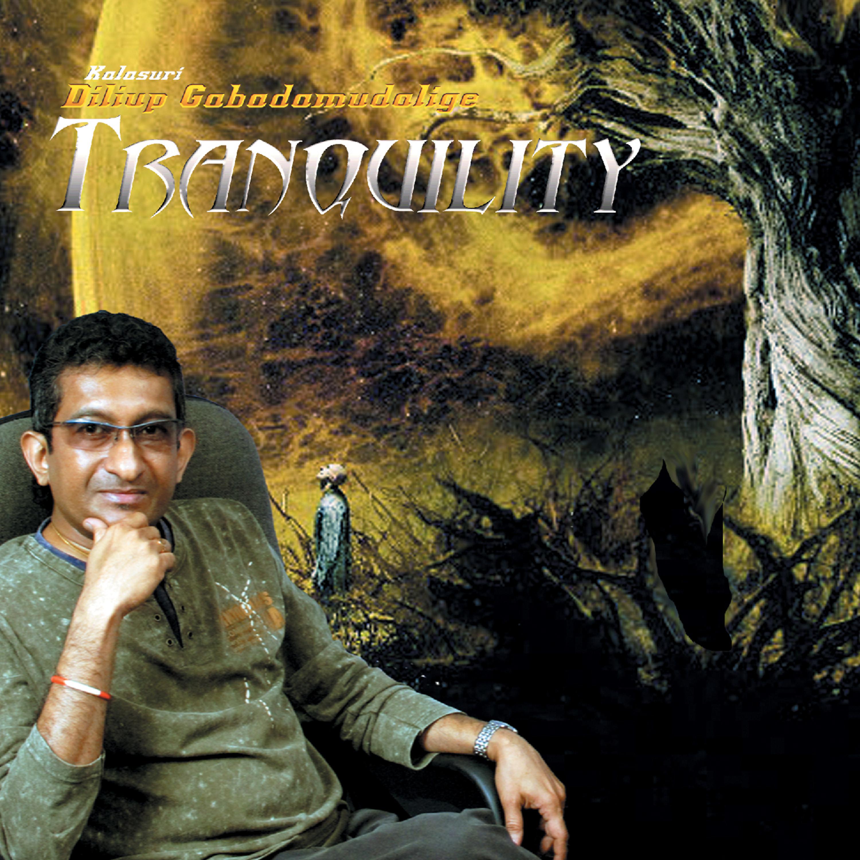 Постер альбома Tranquillity