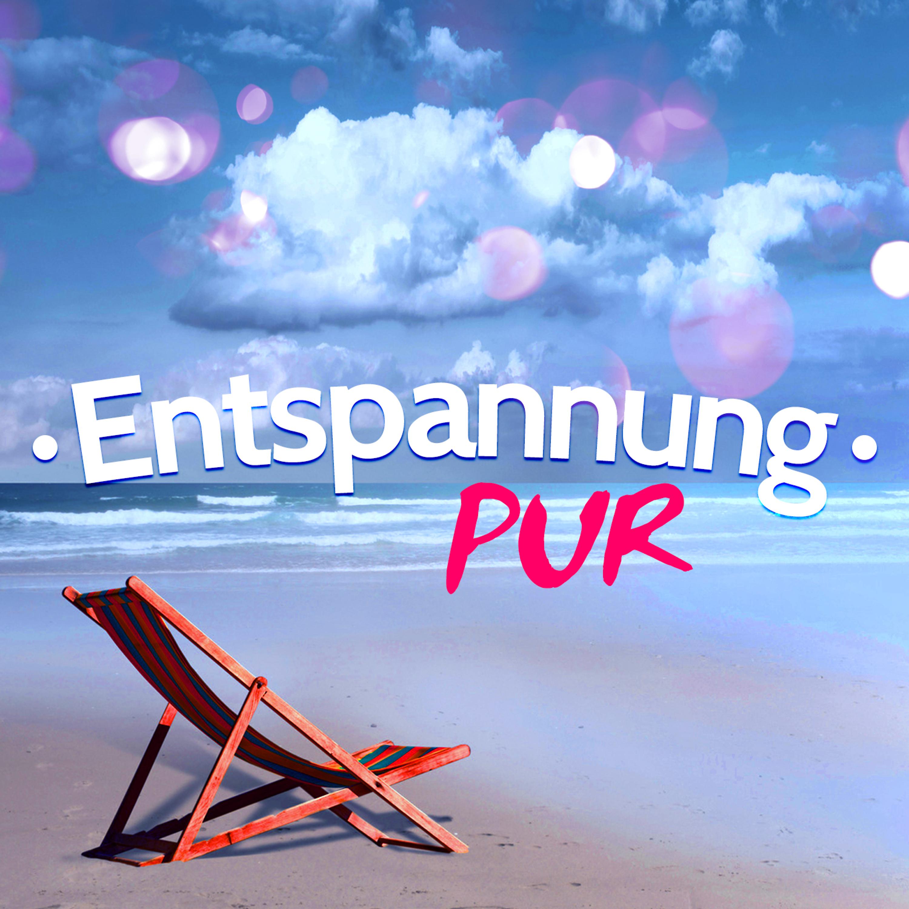 Постер альбома Entspannung Pur