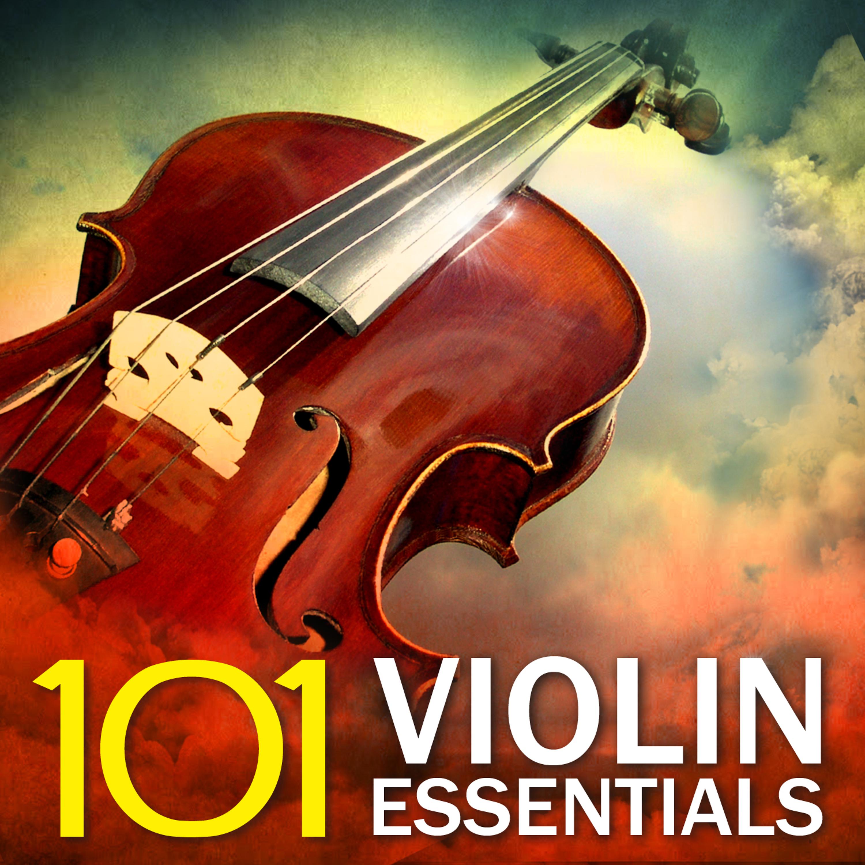 Постер альбома 101 Violin Essentials