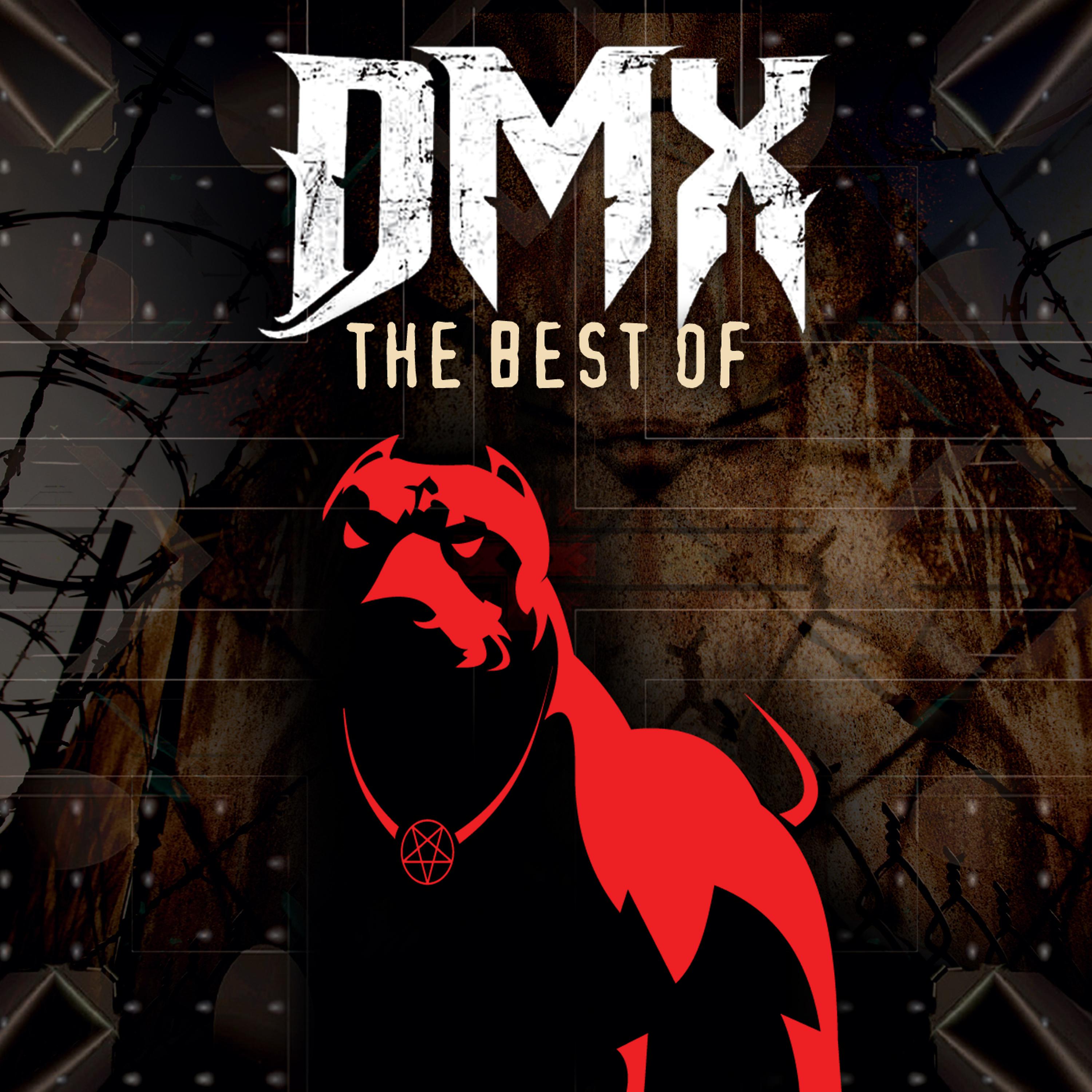 Постер альбома The Best of DMX (Re-Recorded Versions)