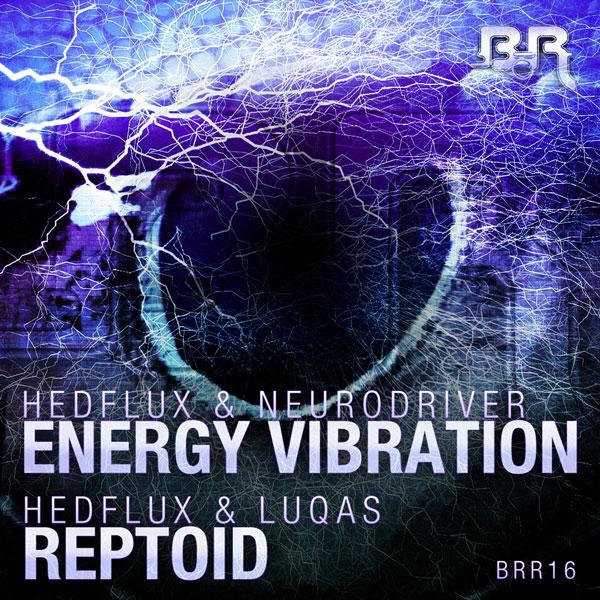 Постер альбома Energy Vibration, Reptoid