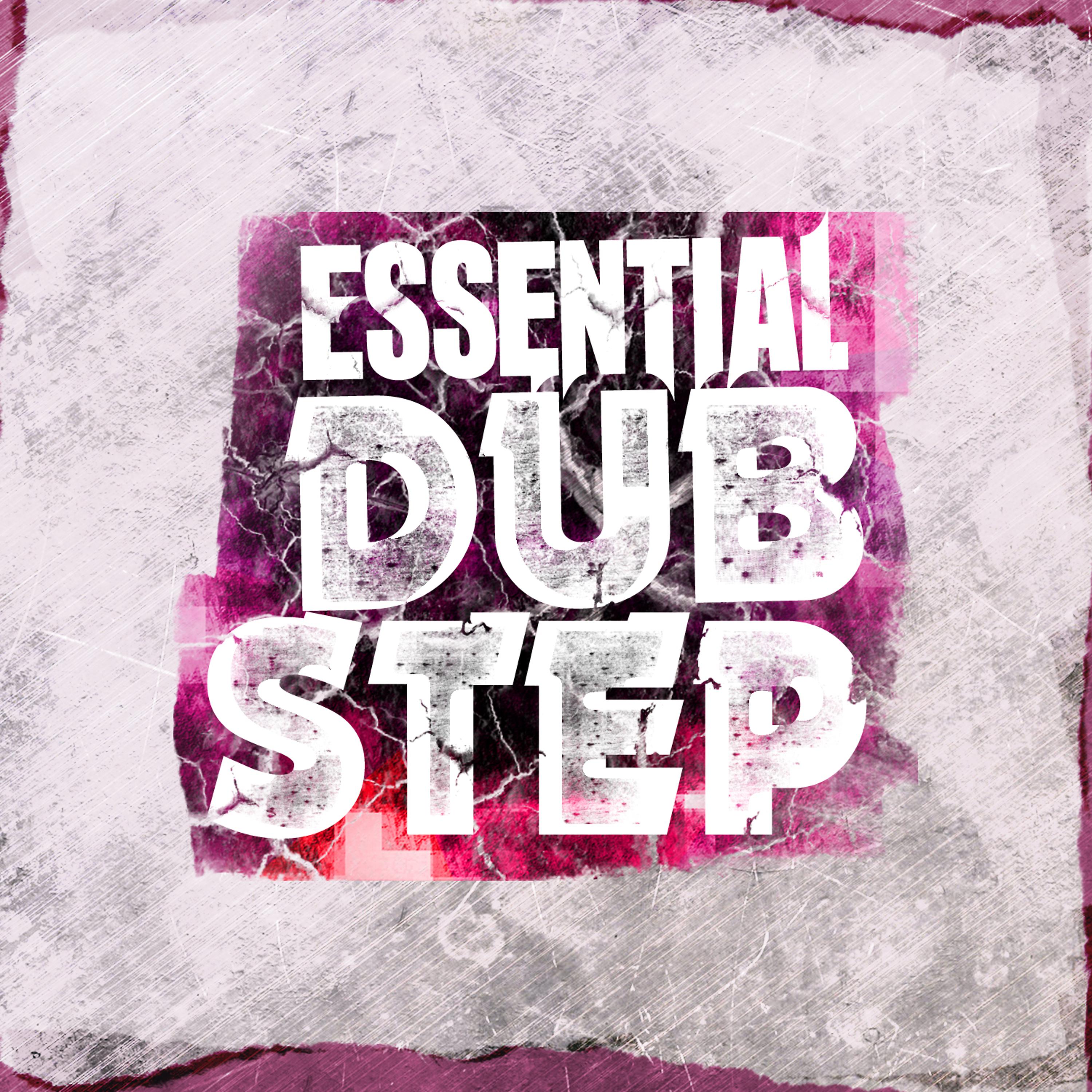 Постер альбома Essential Dubstep