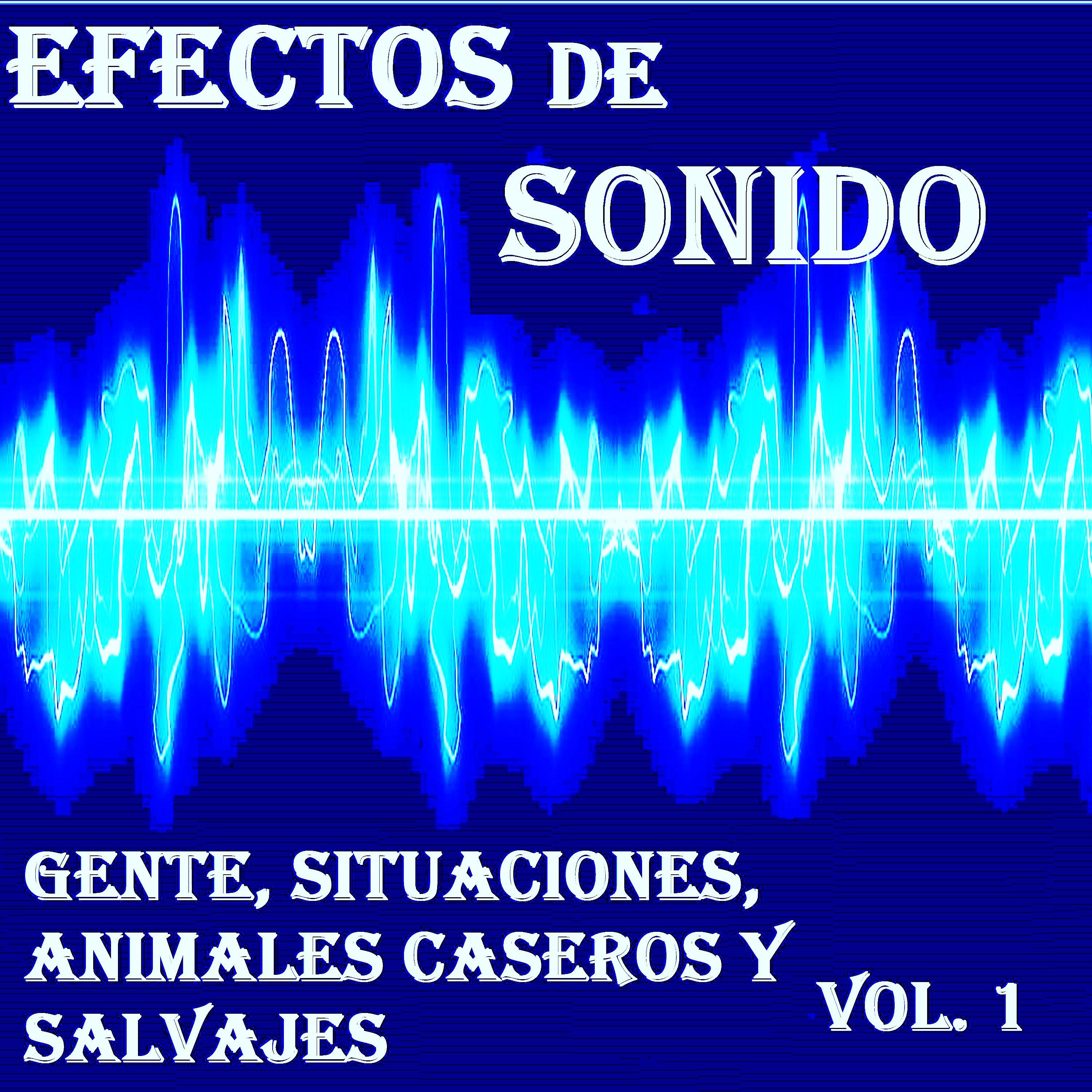 Постер альбома Efectos de Sonido, Gente, Situaciones, Animales Caseros y Salvajes Vol. 1