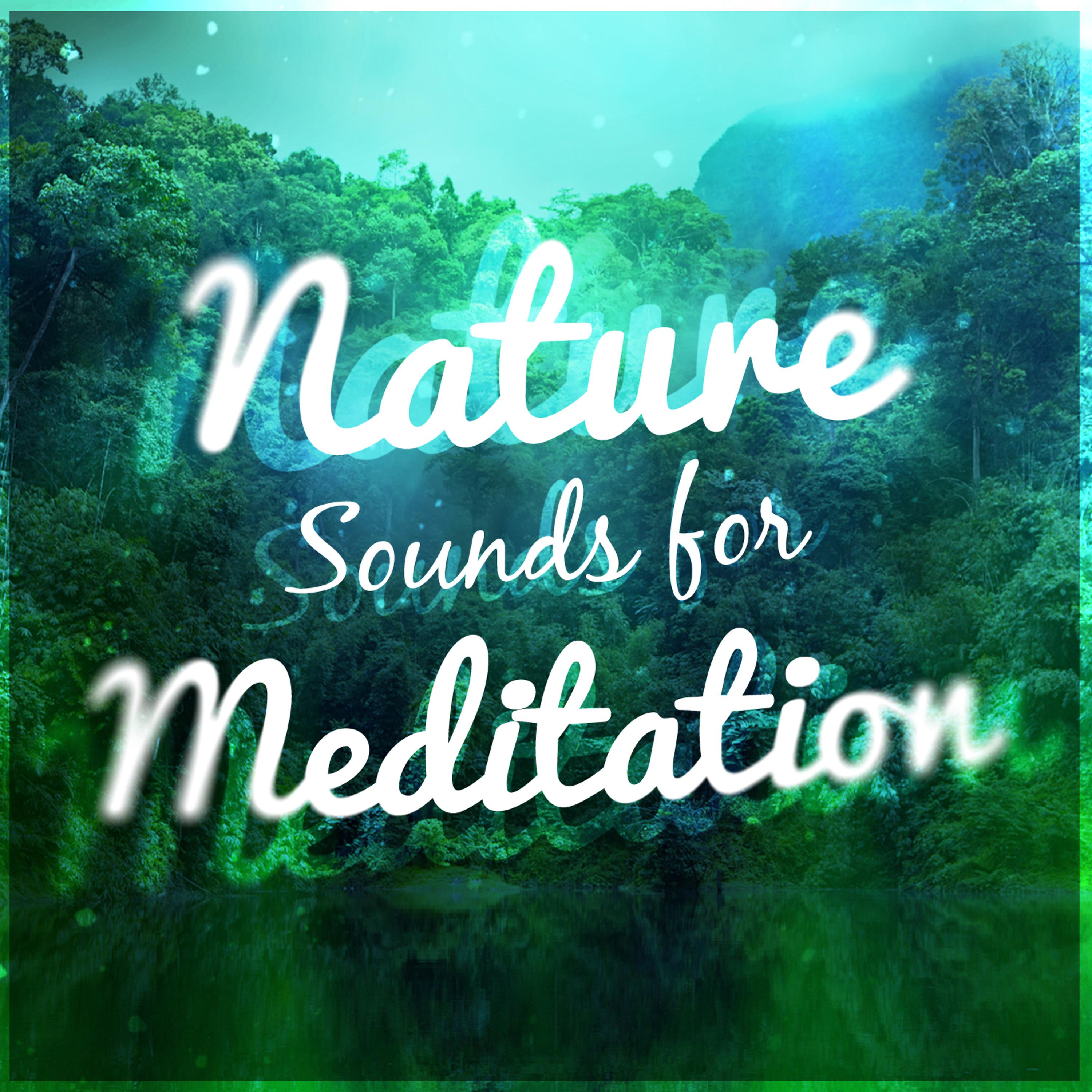 Постер альбома Nature Sounds for Meditation