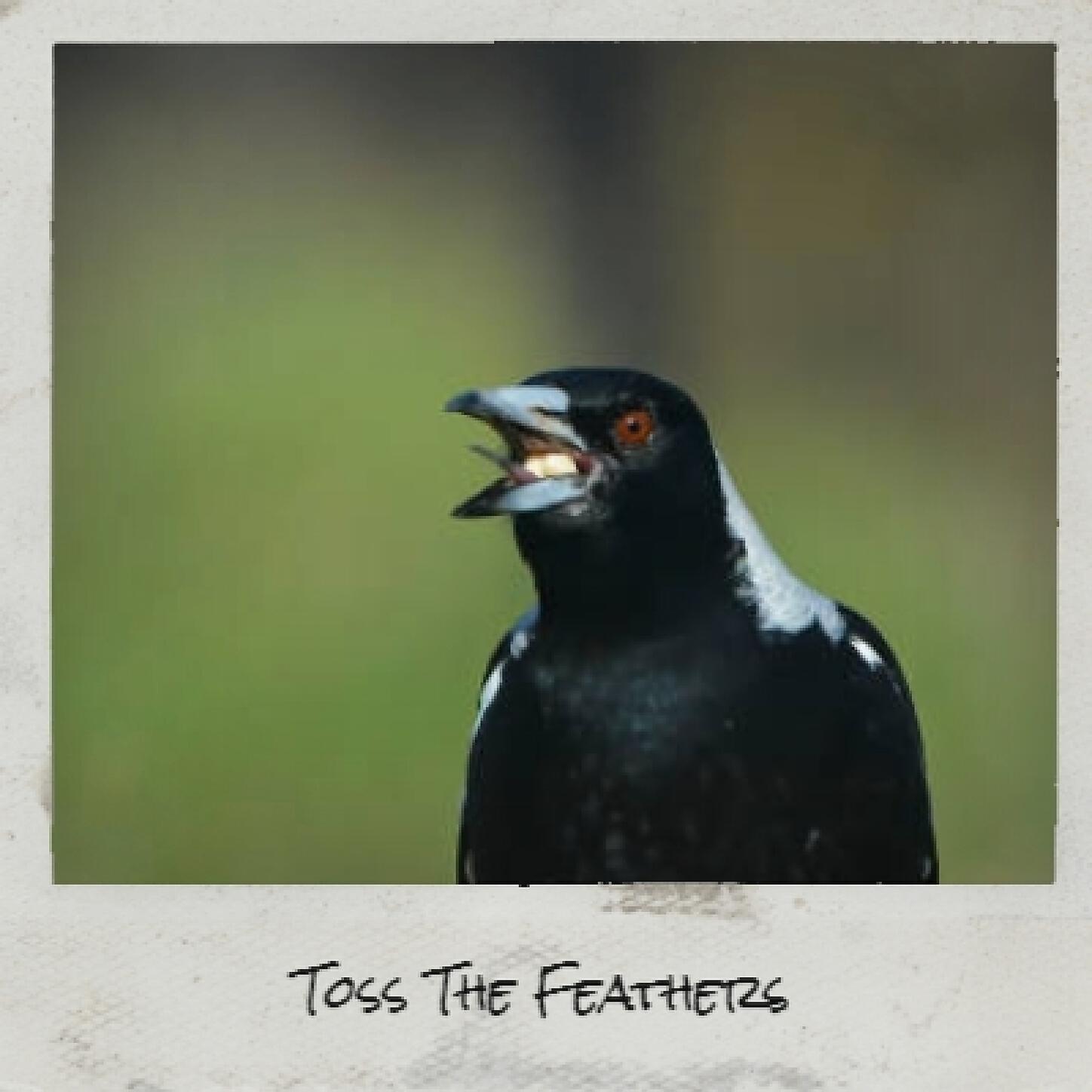 Joseph Rusnak - Forest Critters