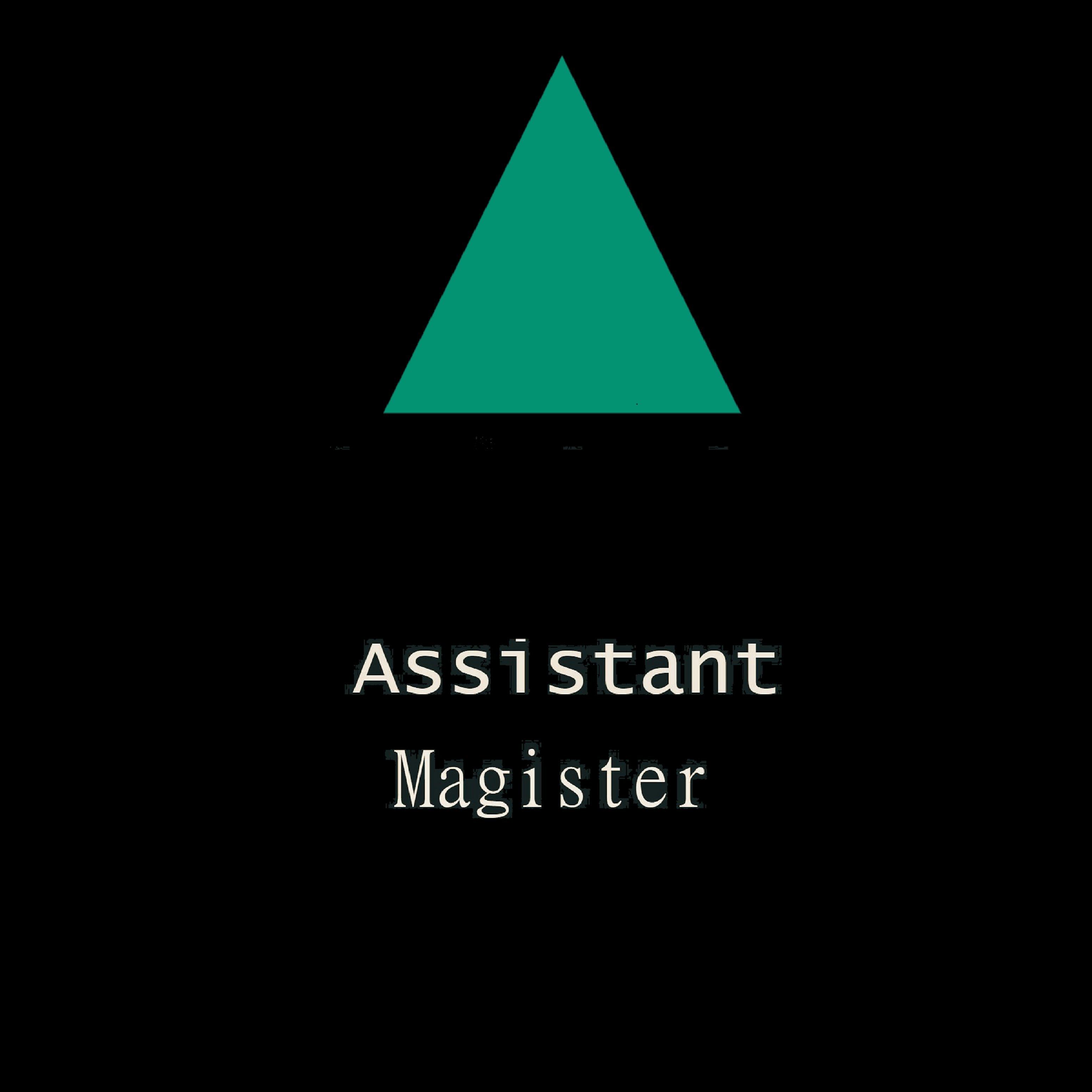 Постер альбома Magister