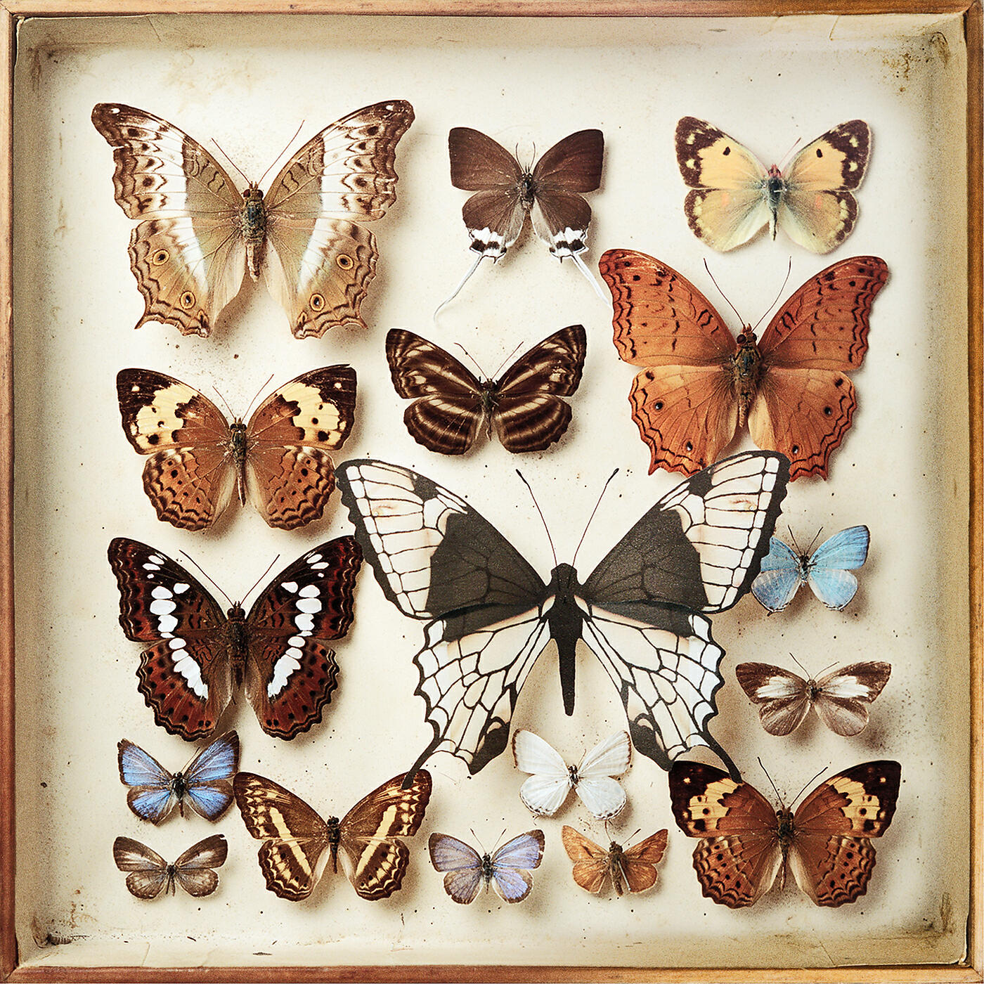 Emiliana Torrini - To Be Free (Raw Deal Remix)