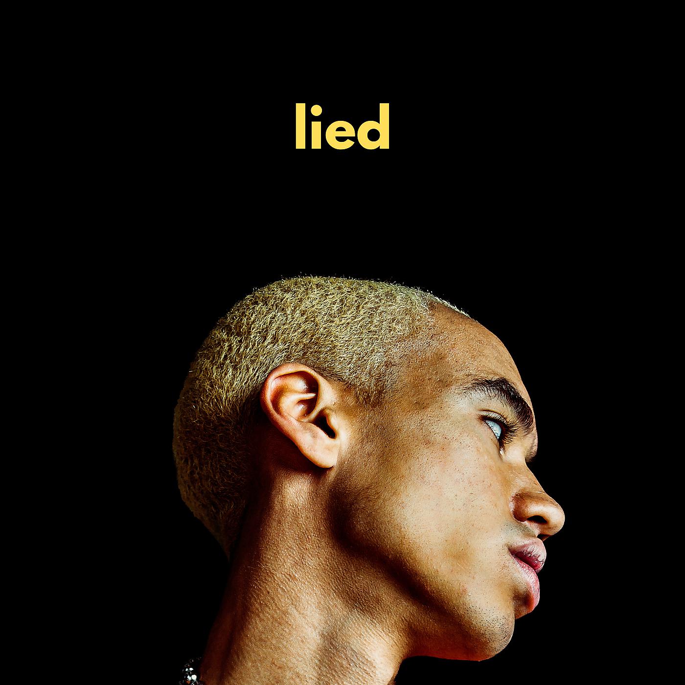 Постер альбома Lied