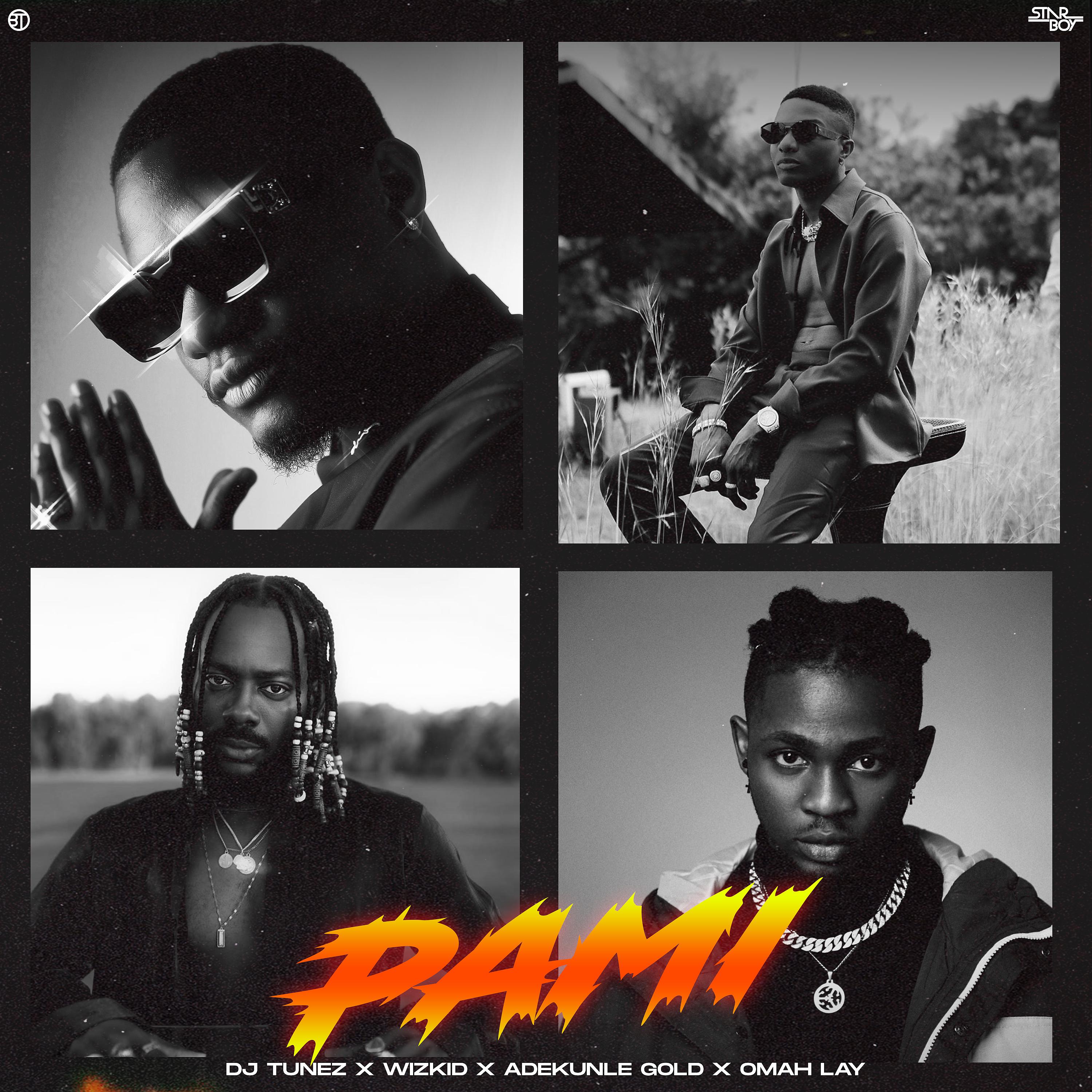 Постер альбома PAMI (feat. Wizkid, Adekunle Gold & Omah Lay)