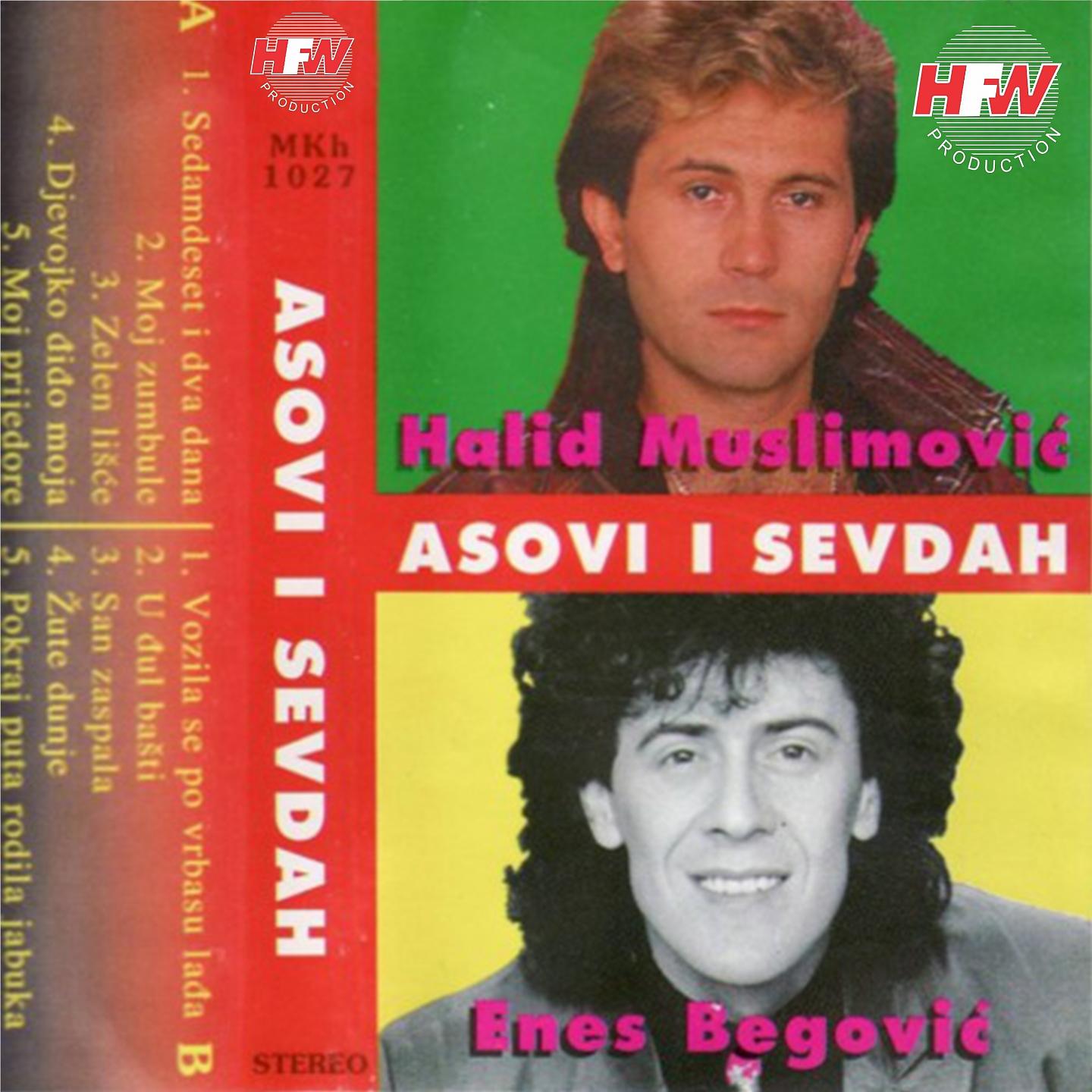 Enes Begovic - Vozila se po vrbasu lađa