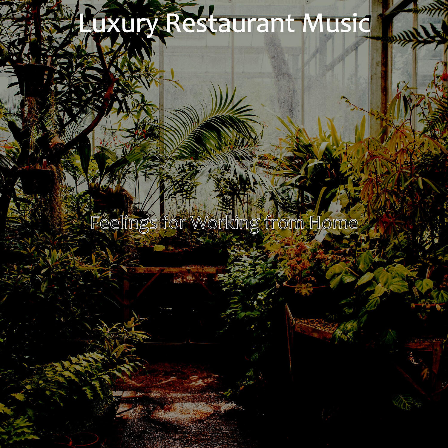 Luxury Restaurant Music - Breathtaking Jazz Piano - Bgm for Working from Home