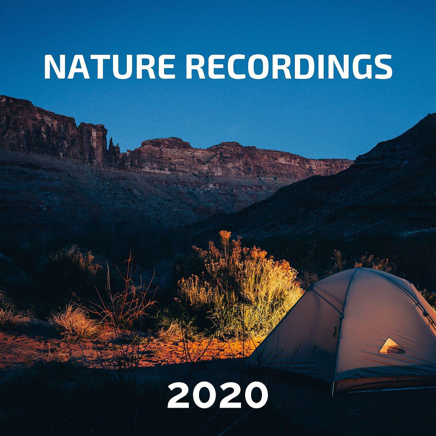 Nature Jenny - Nature Recordings 2020