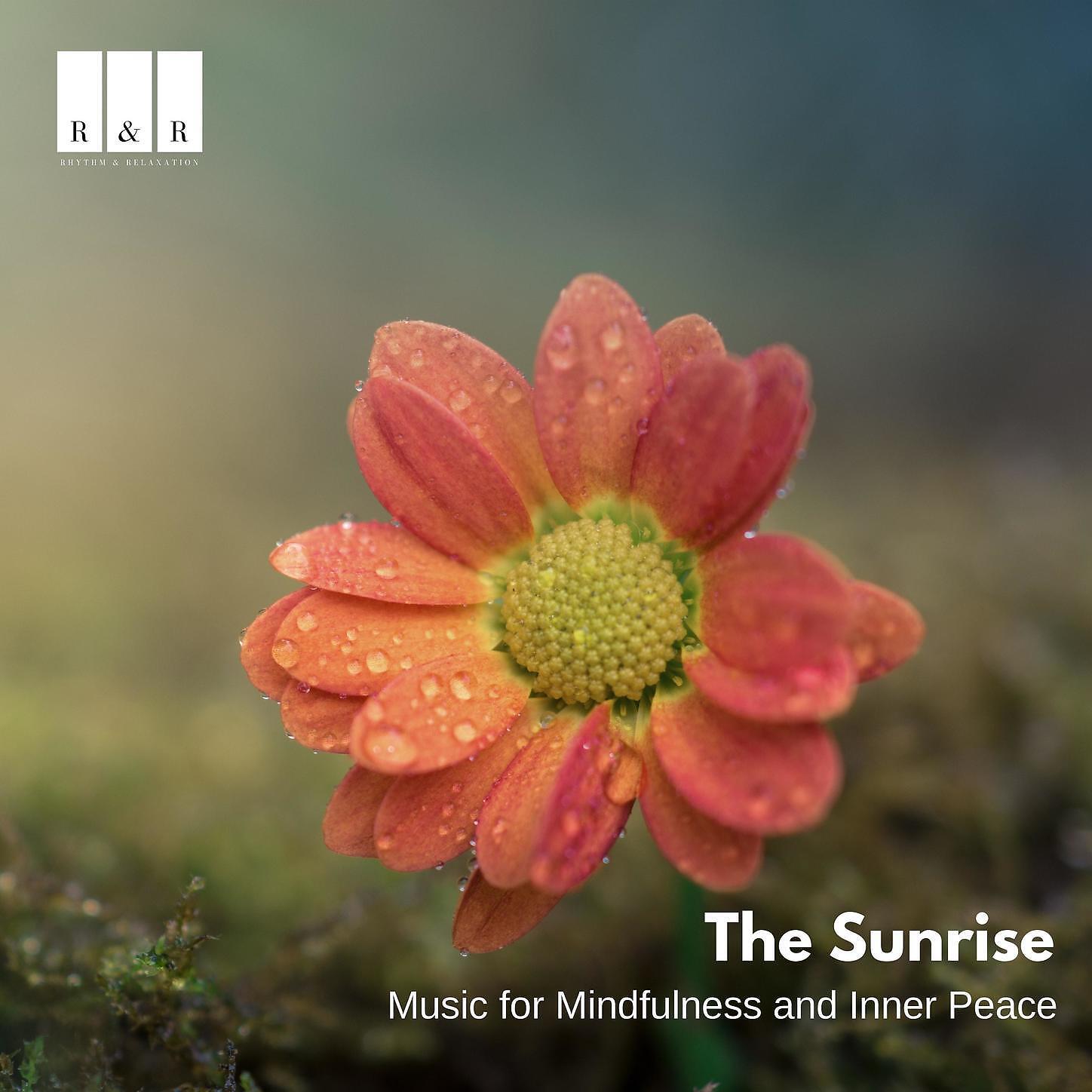 Spiritual Sound Clubb - Mystical Healers