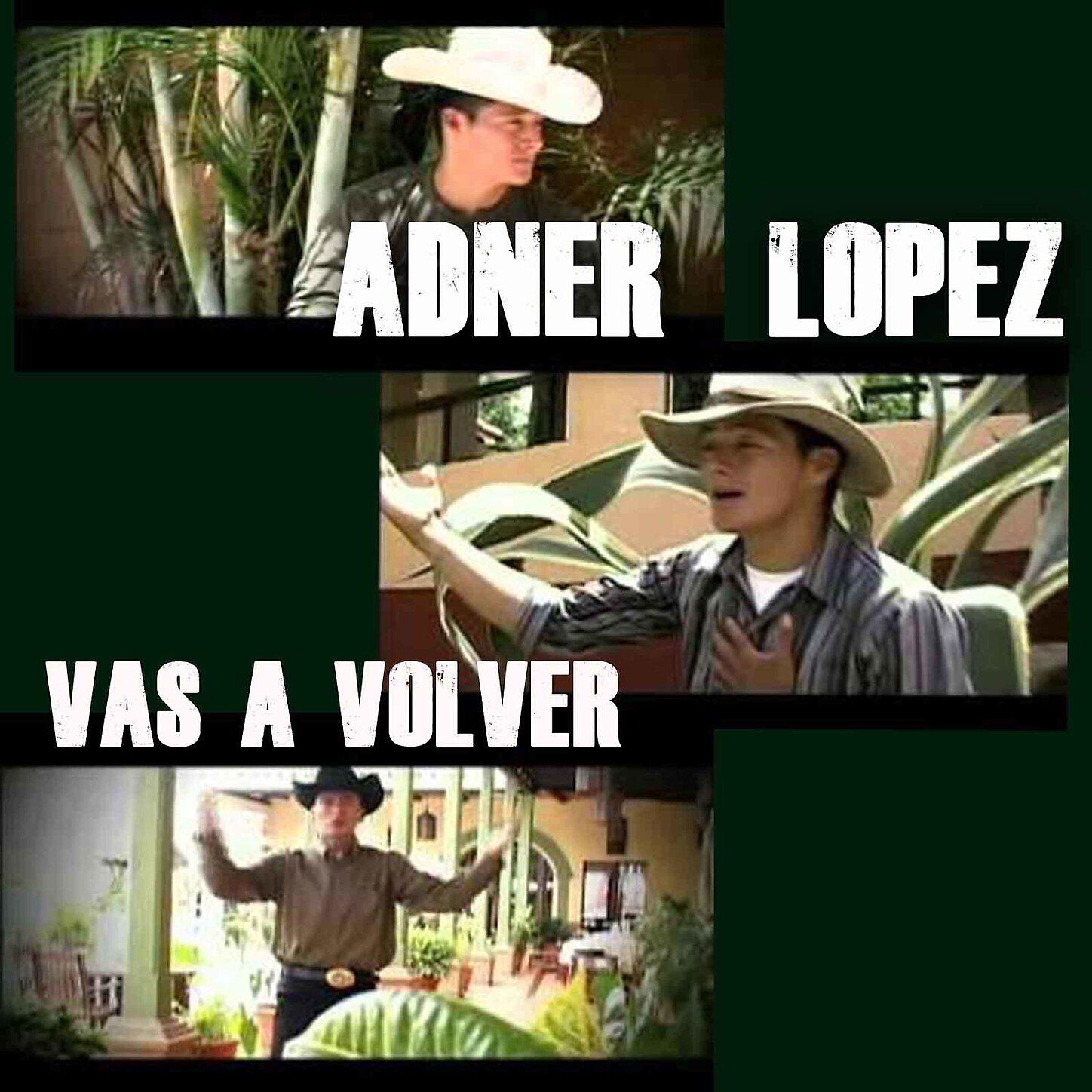 Abner Lopez - Vengo Ante Ti