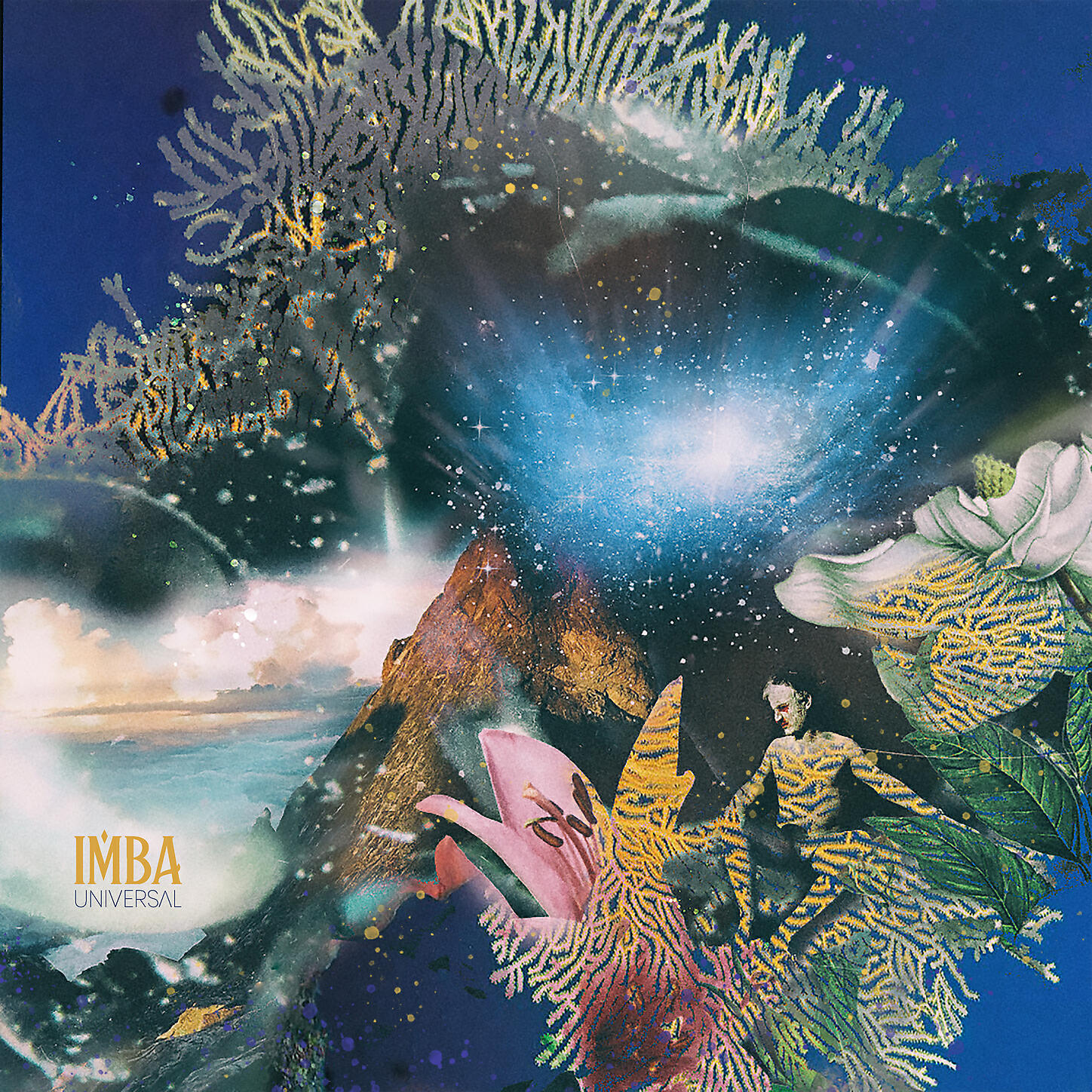 Imba - Universal