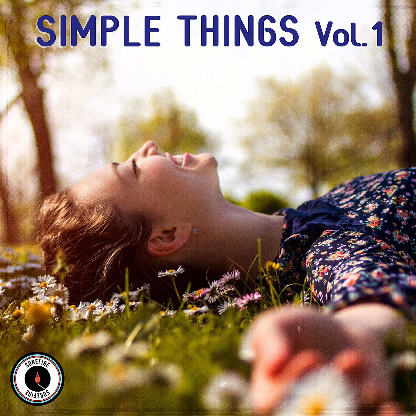 Matthew Todd Naylor - Simple Things