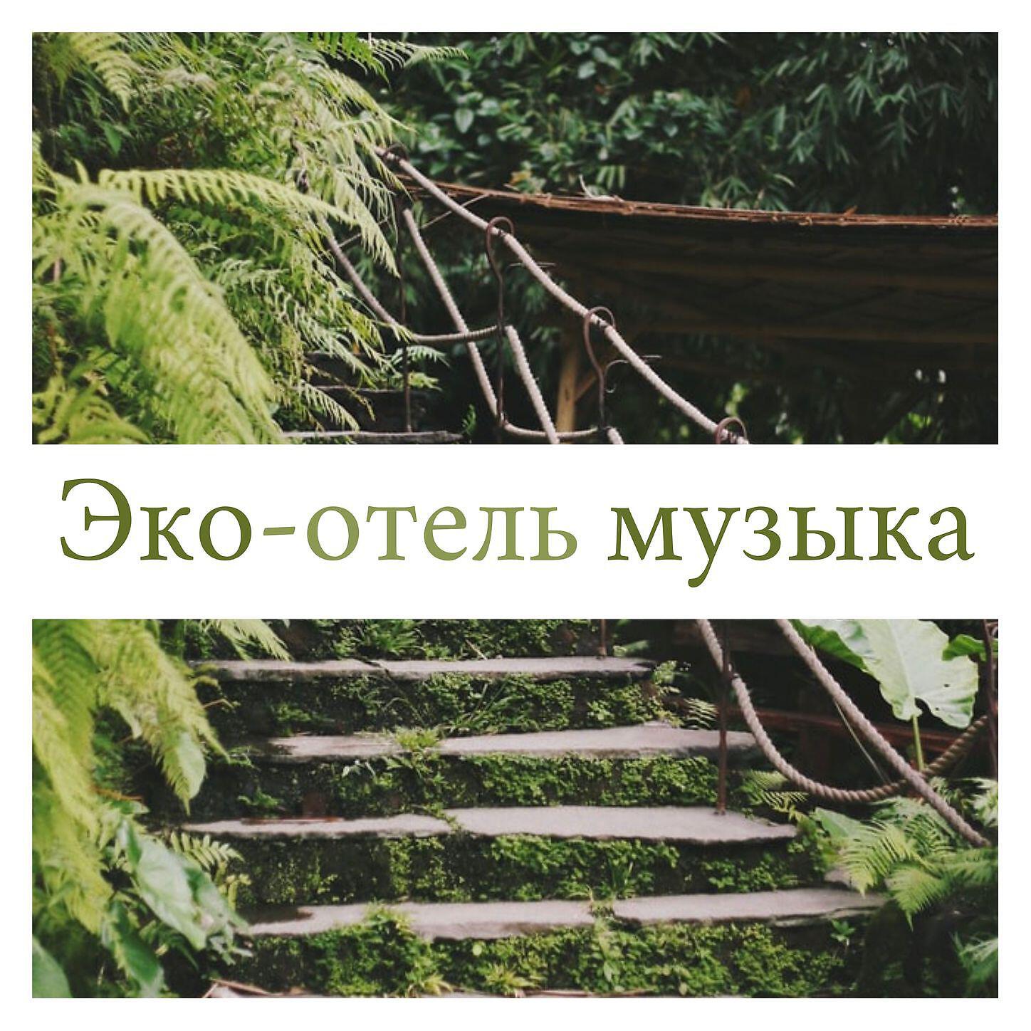Владимир Бережной - Флора и фауна